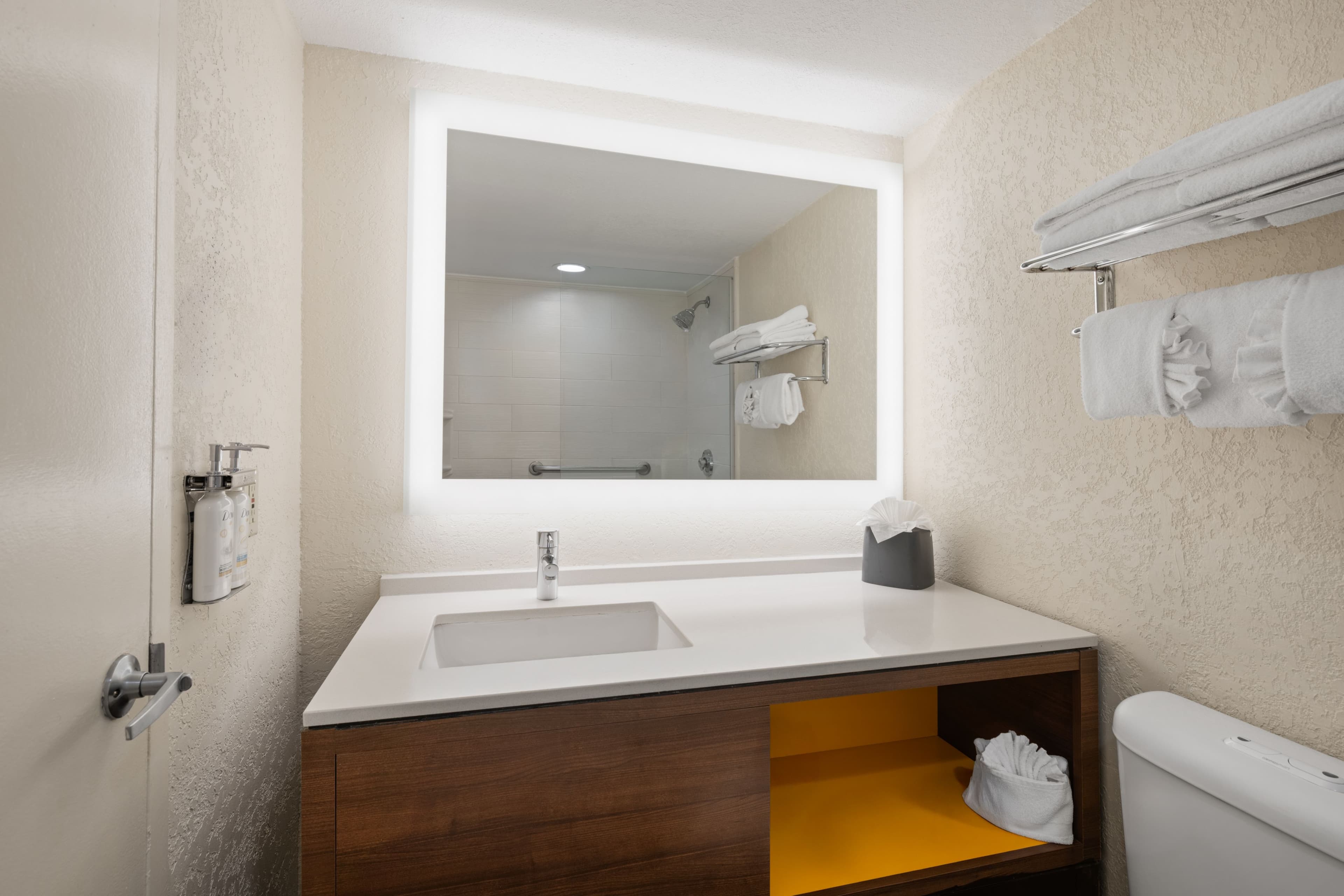 Holiday Inn Miami-International Airport — 13