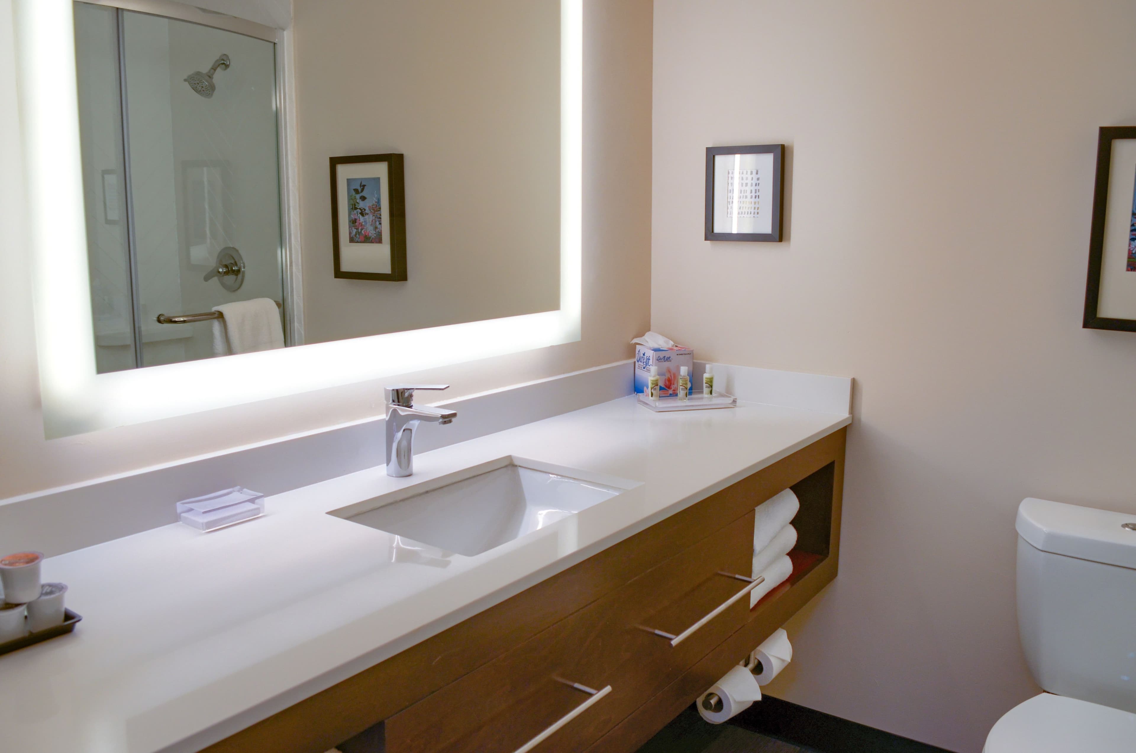 Holiday Inn Mobile West - I-10 - Image 5