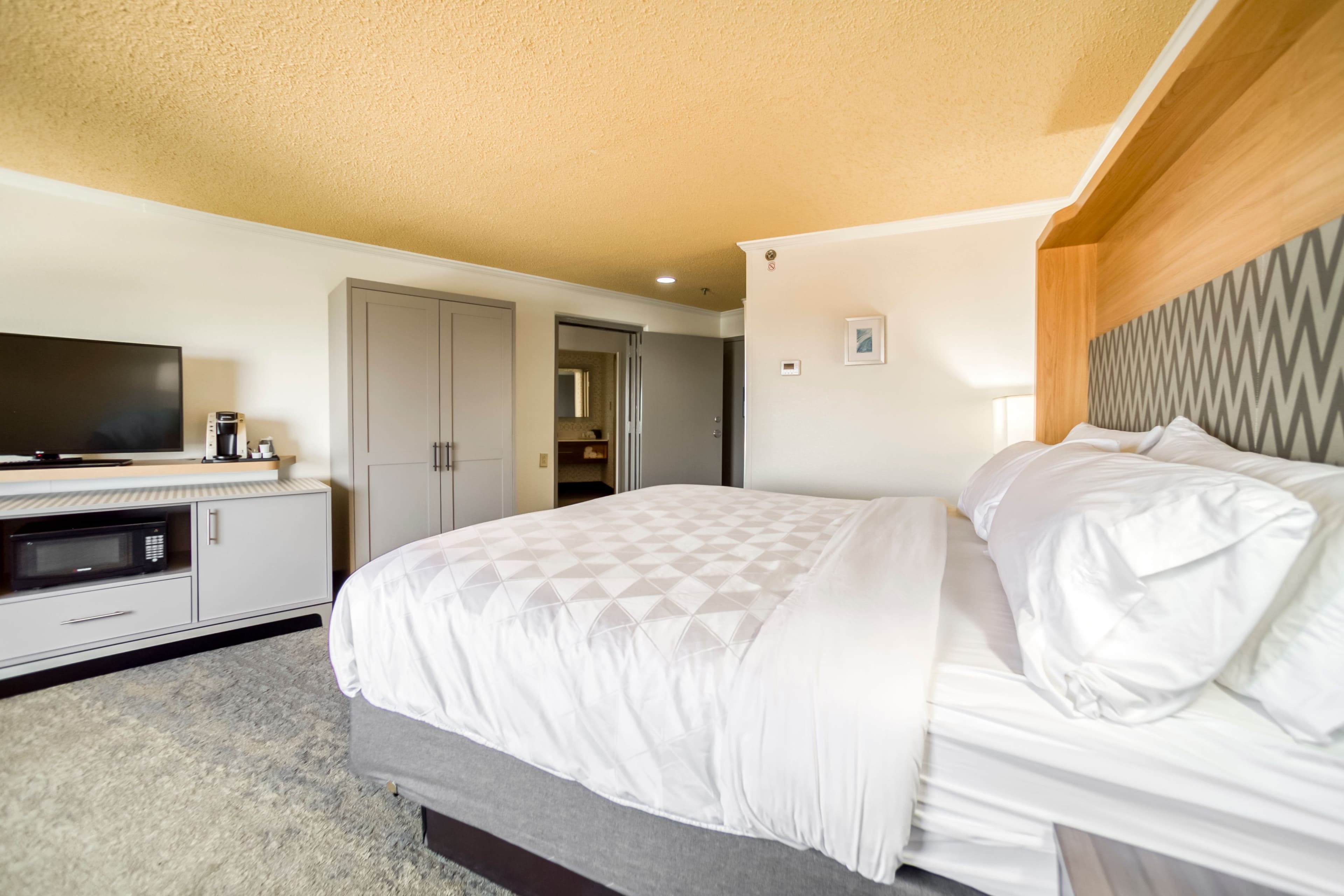 Holiday Inn Mobile-Dwtn/Hist. District — 102