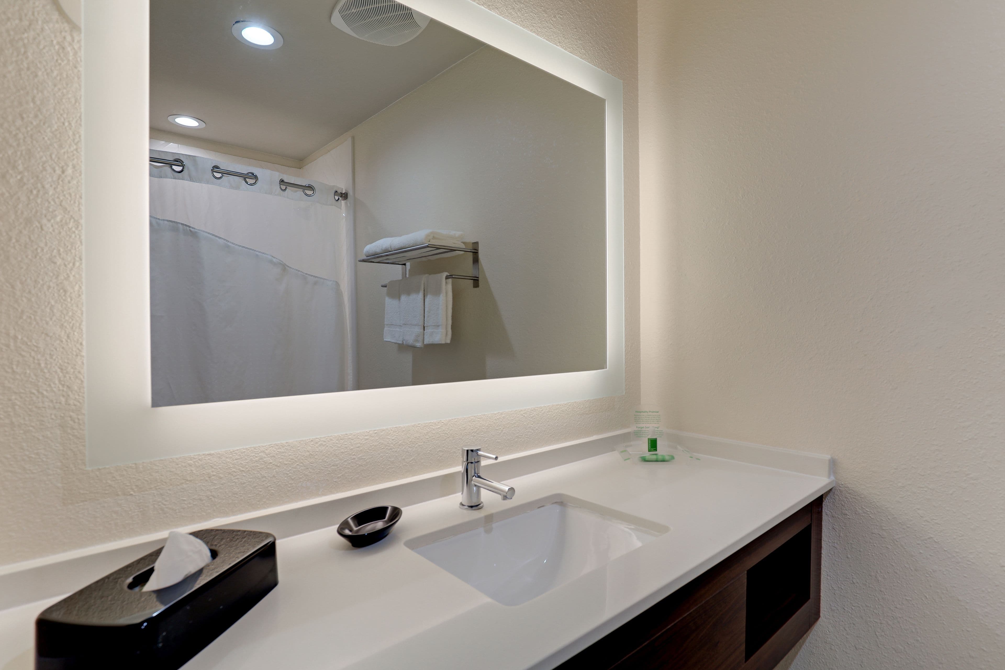 Holiday Inn Mobile - Airport - Image 3