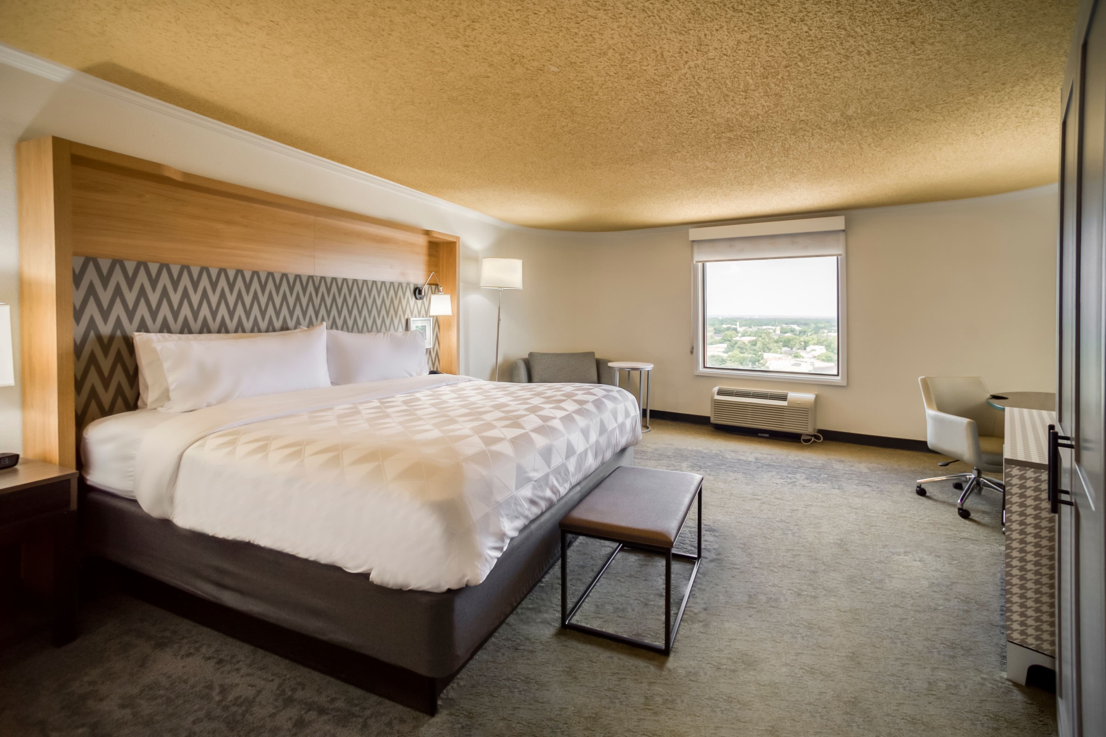 Holiday Inn Mobile-Dwtn/Hist. District - Image 5