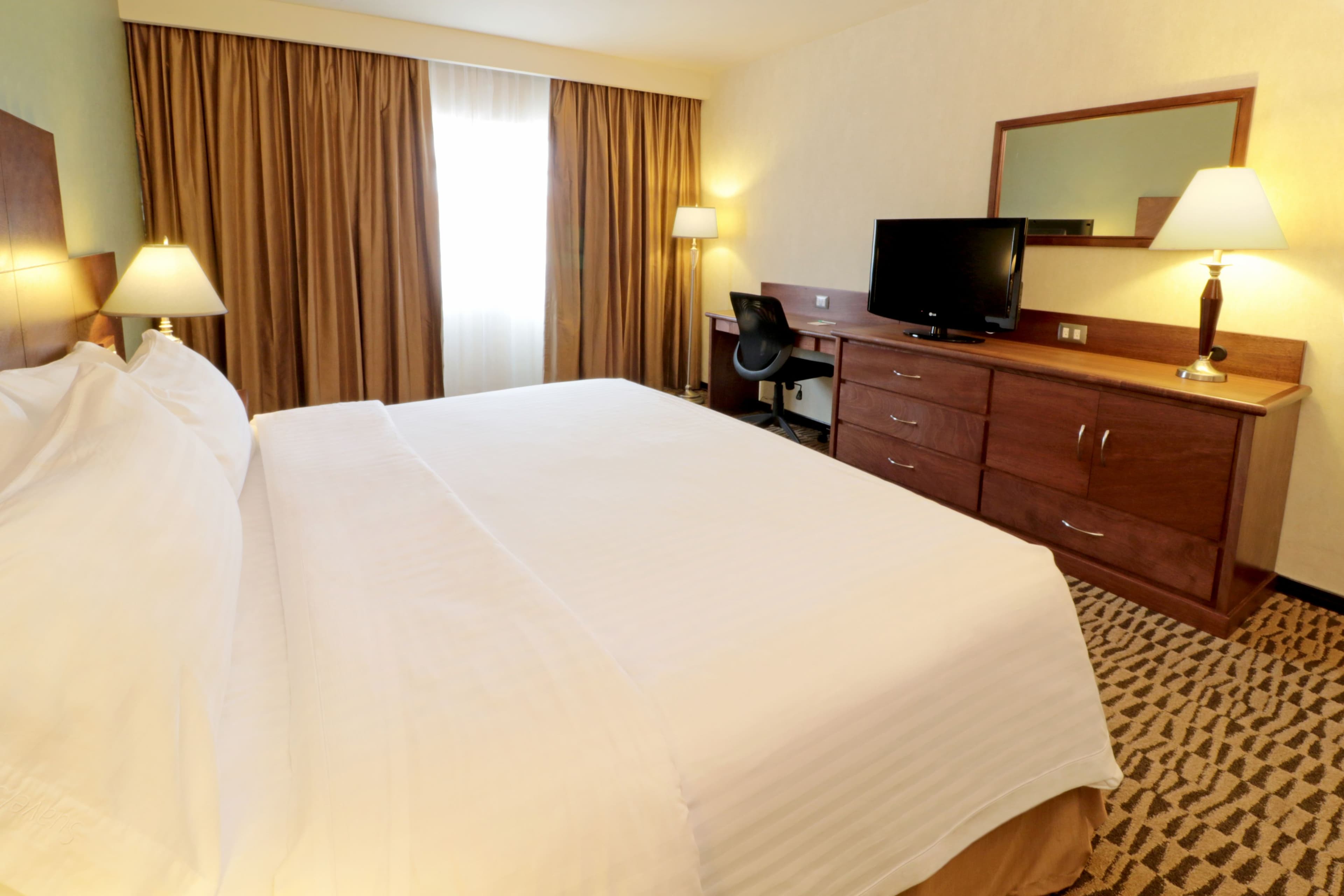 Holiday Inn Monterrey Norte - Image 5