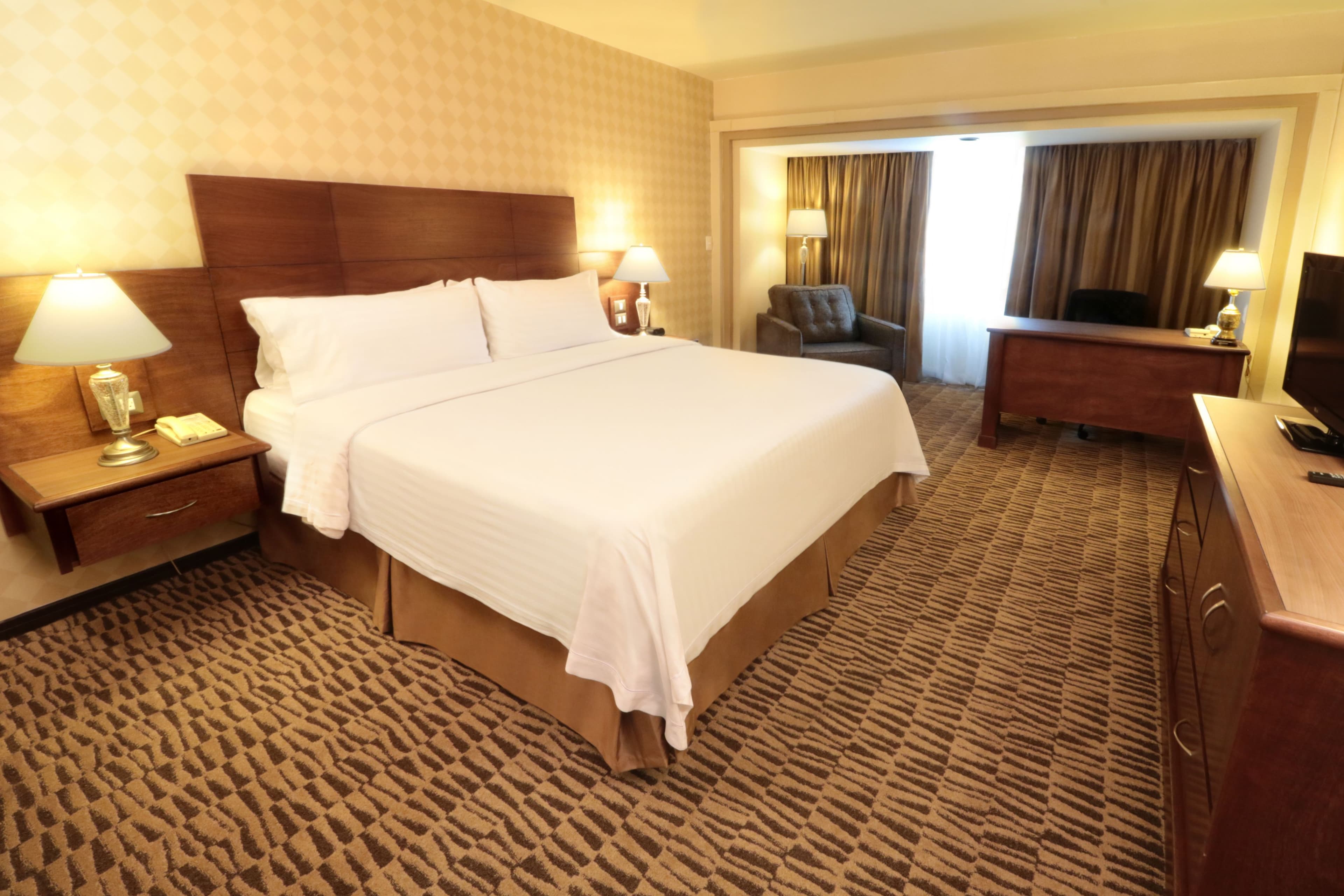 Holiday Inn Monterrey Norte - Image 4