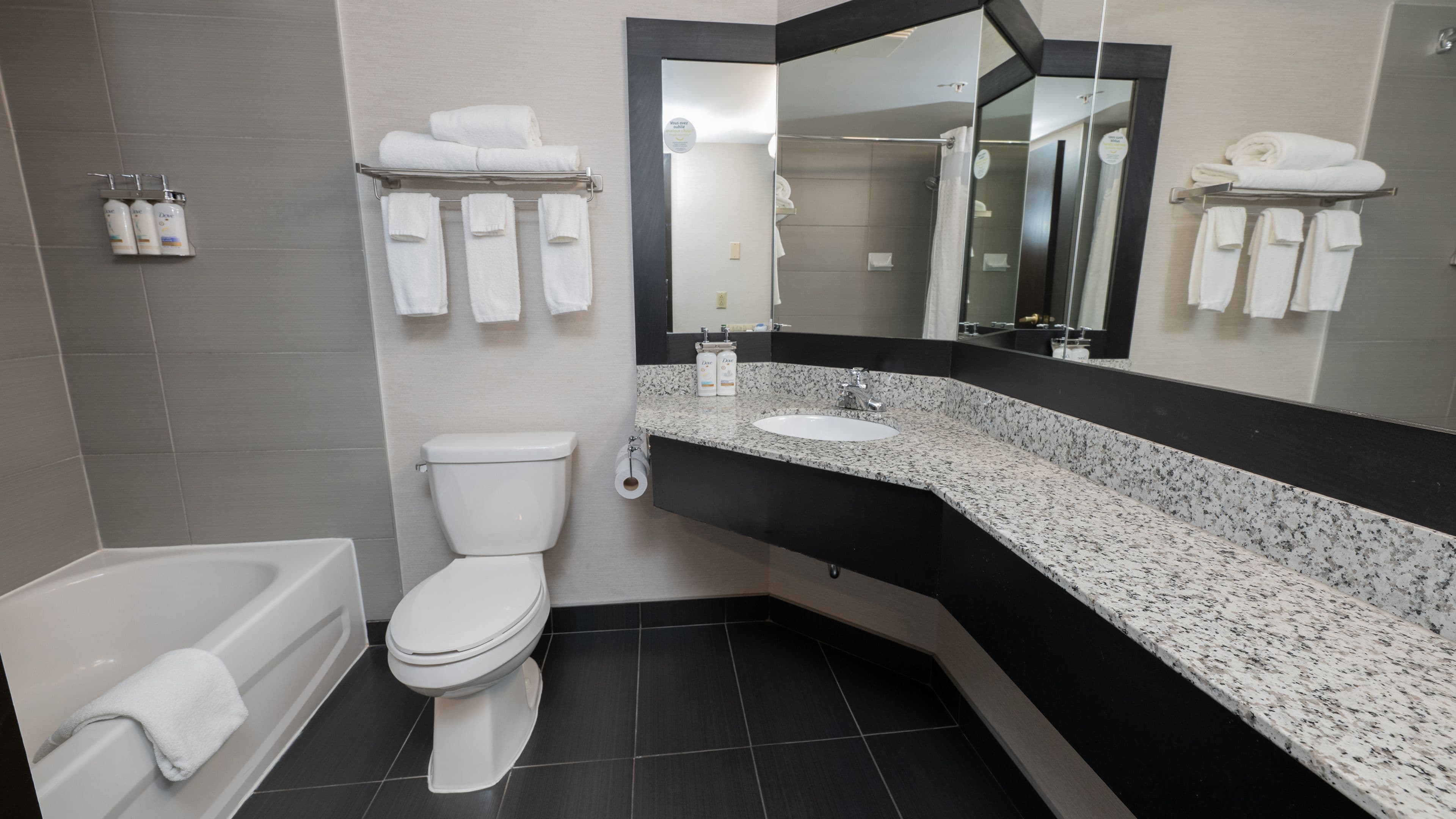 Holiday Inn Montreal Centreville Downtown - Image 3