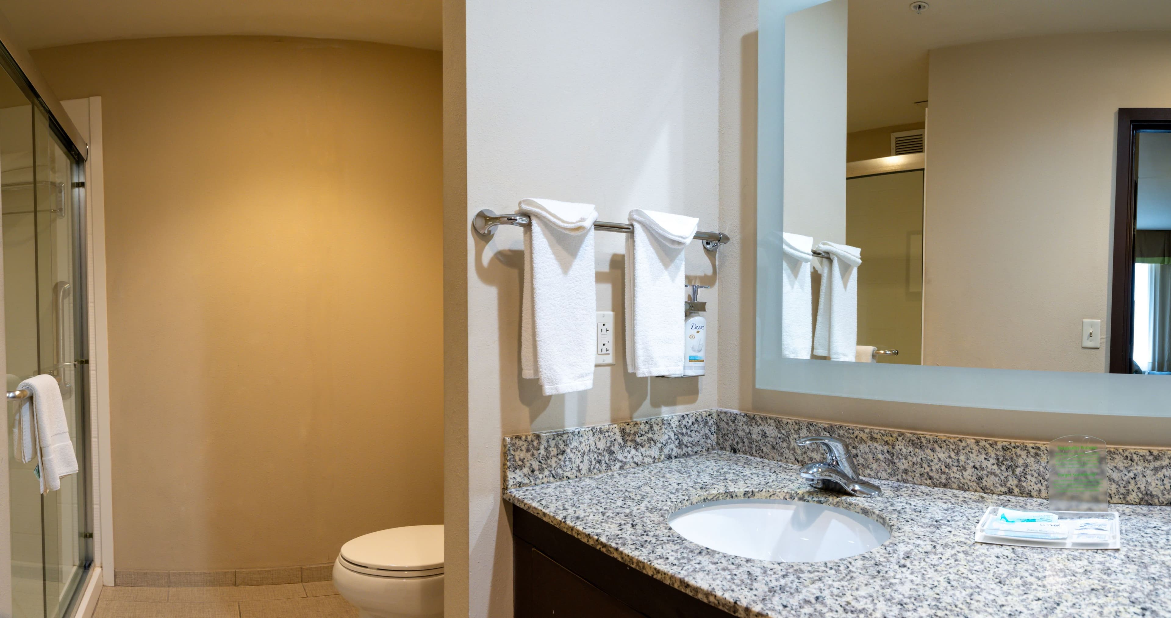 Holiday Inn Murfreesboro - Image 5