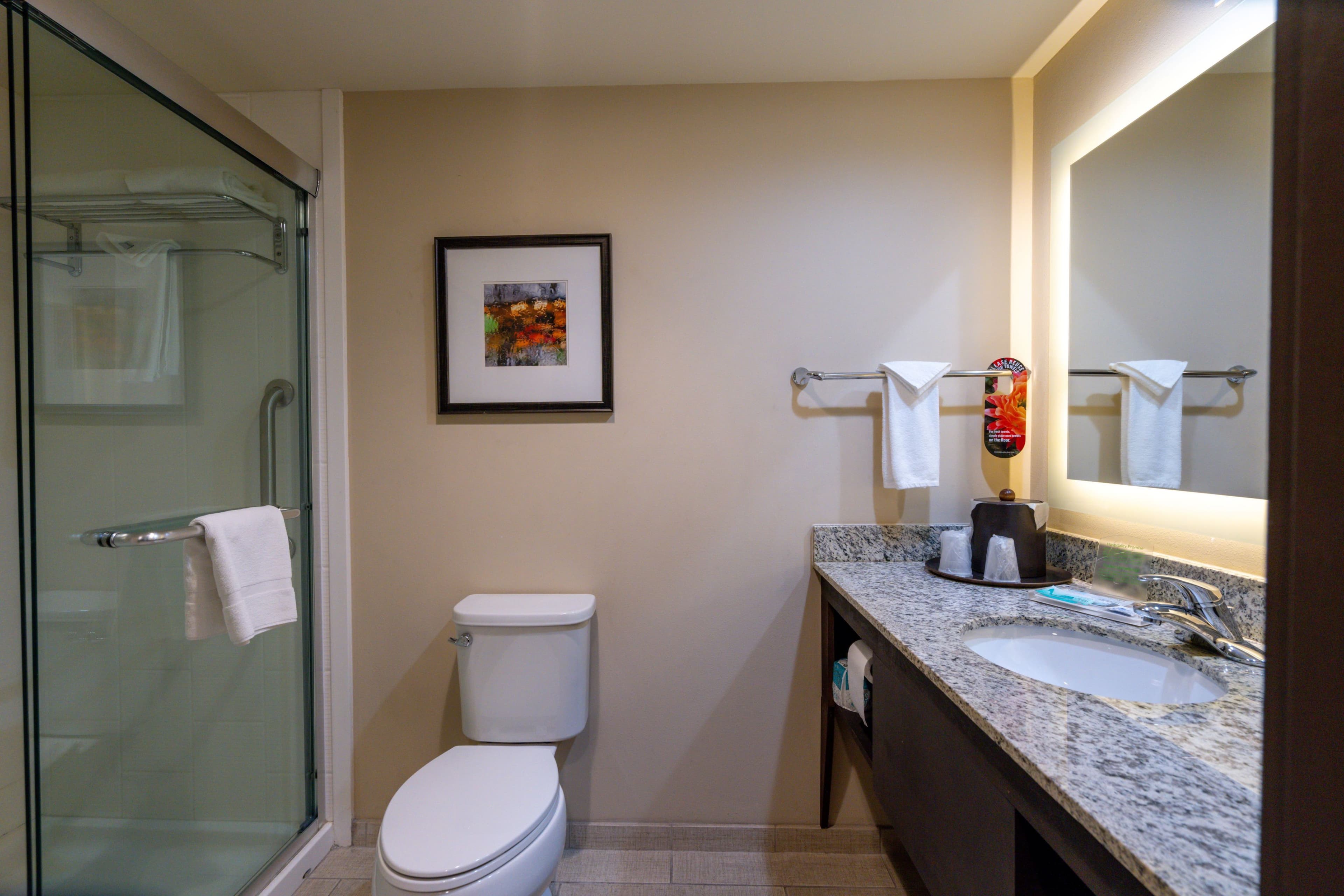 Holiday Inn Murfreesboro - Image 4