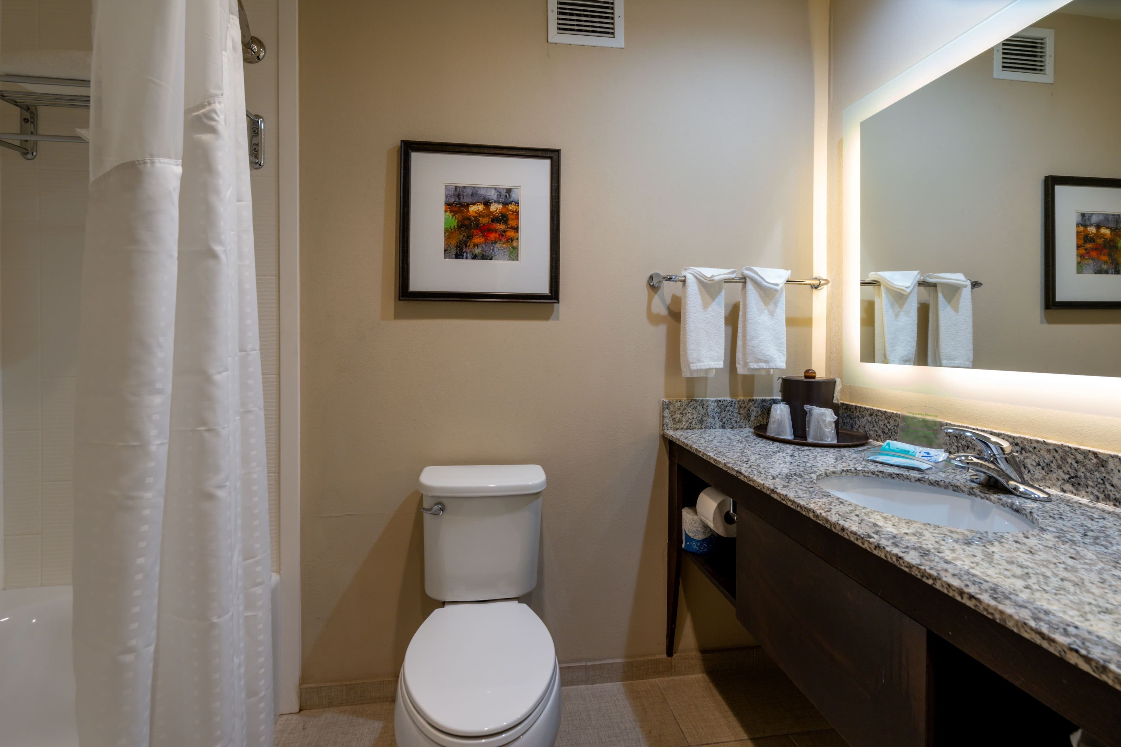 Holiday Inn Murfreesboro — 7