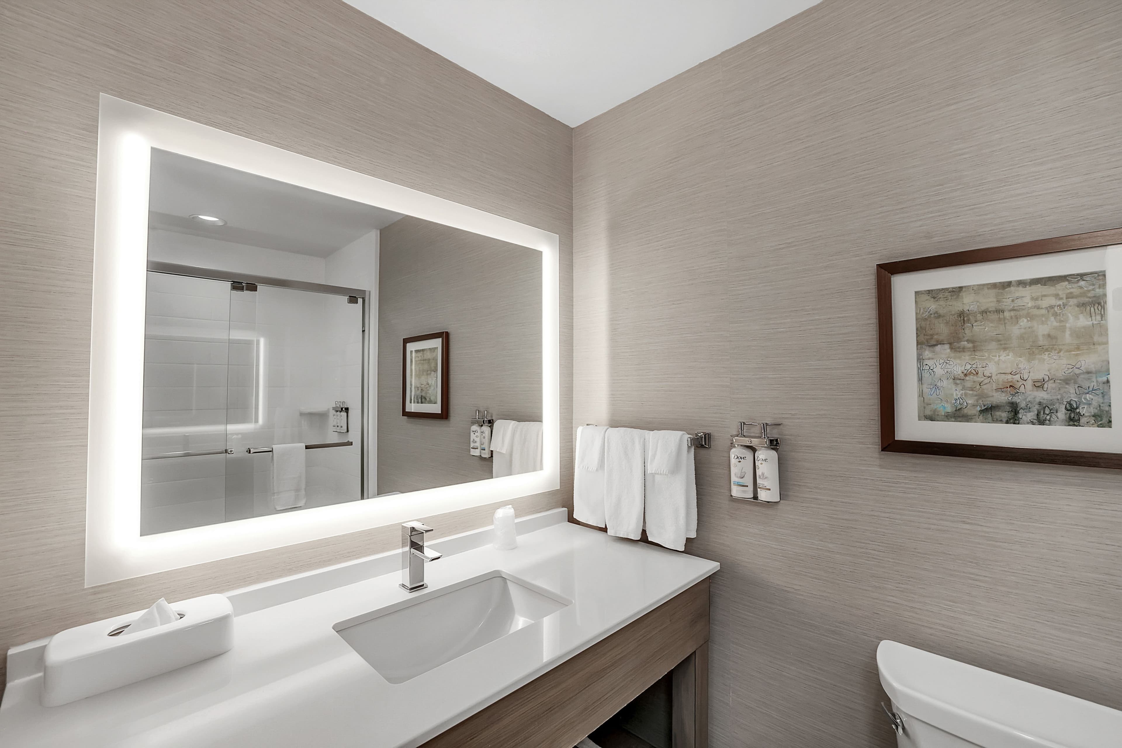 Holiday Inn Nampa - Image 3