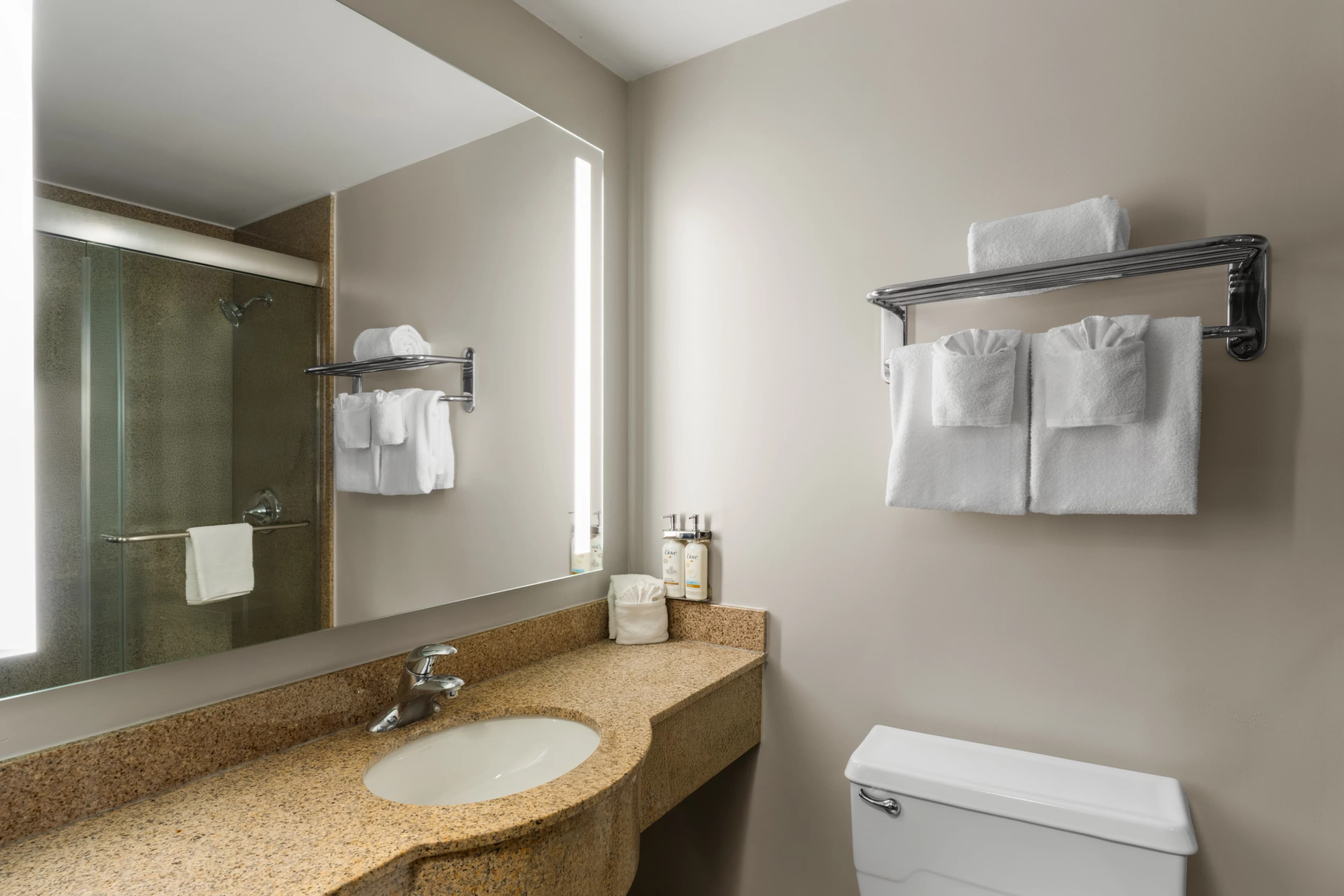 Holiday Inn Nashville-Vanderbilt (Dwtn) — 3
