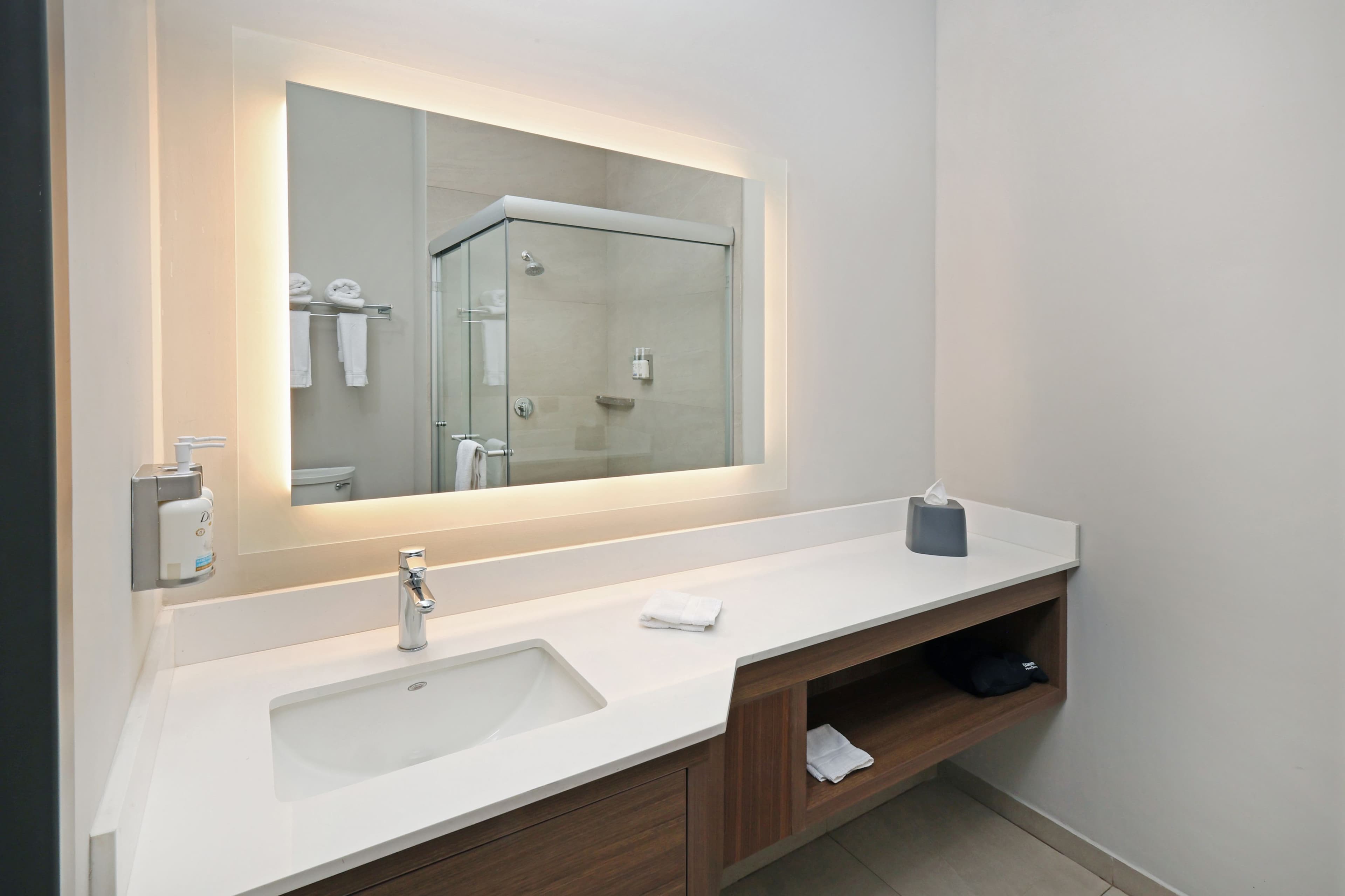 Holiday Inn Navojoa - Image 5