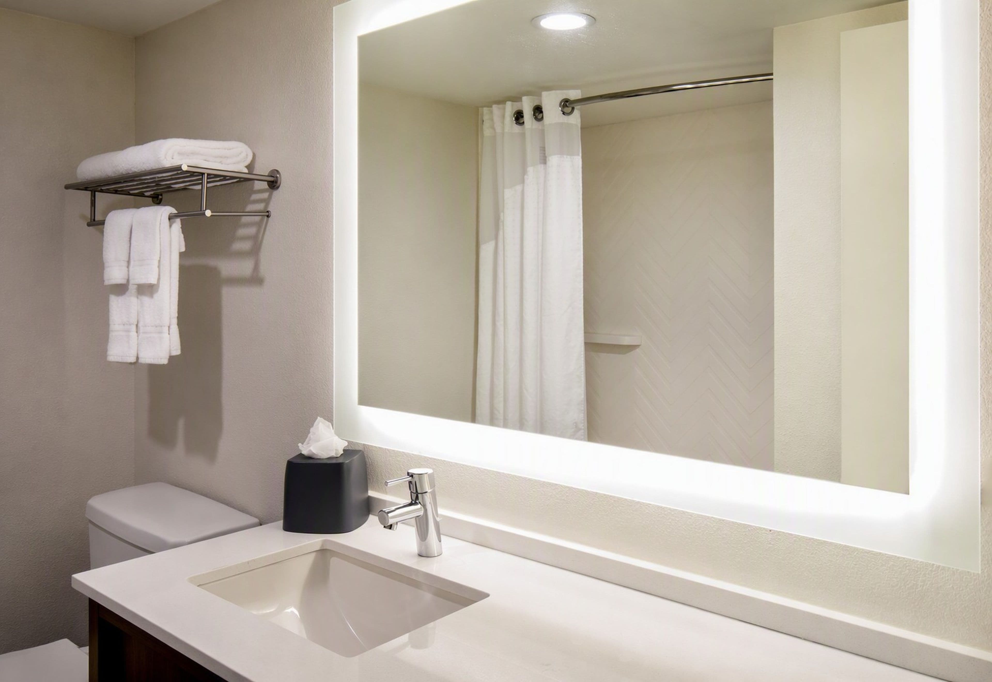 Holiday Inn Newport News - Hampton — 12