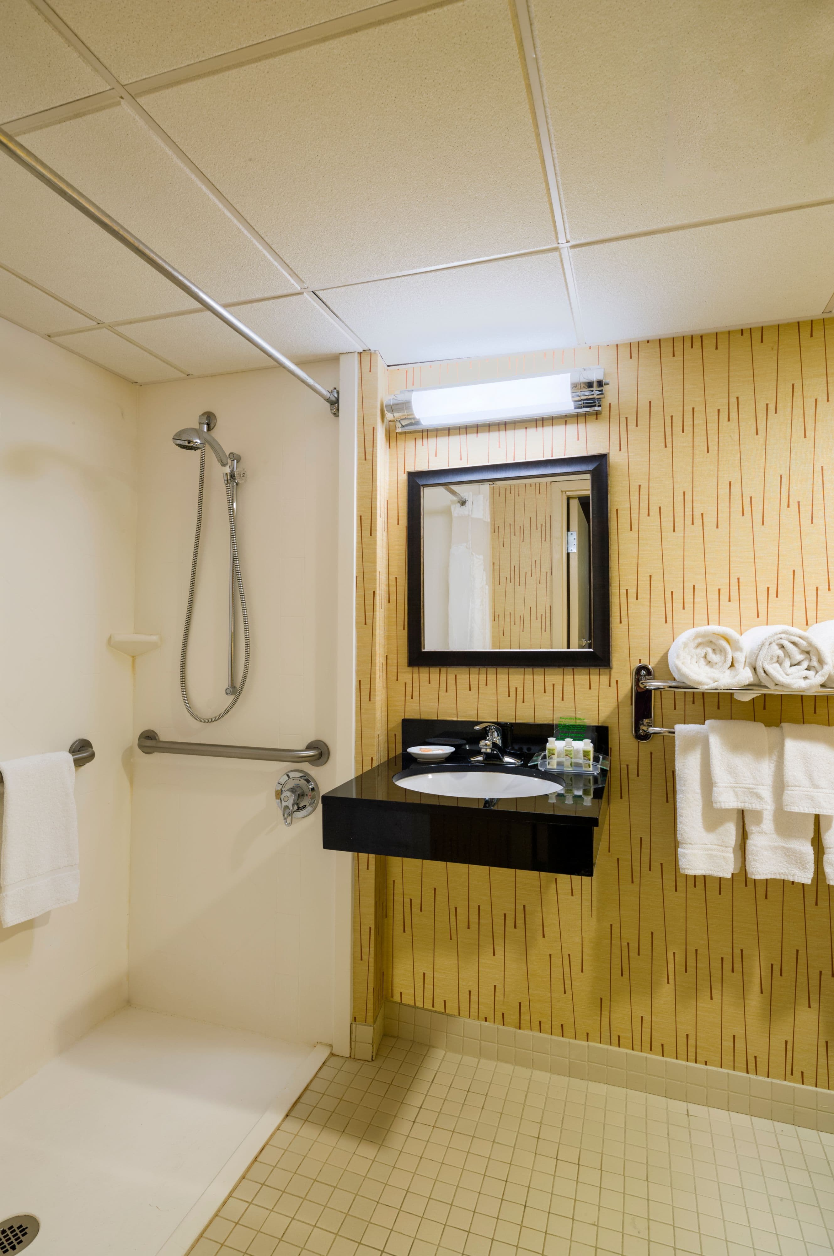 Holiday Inn Norwich — 9
