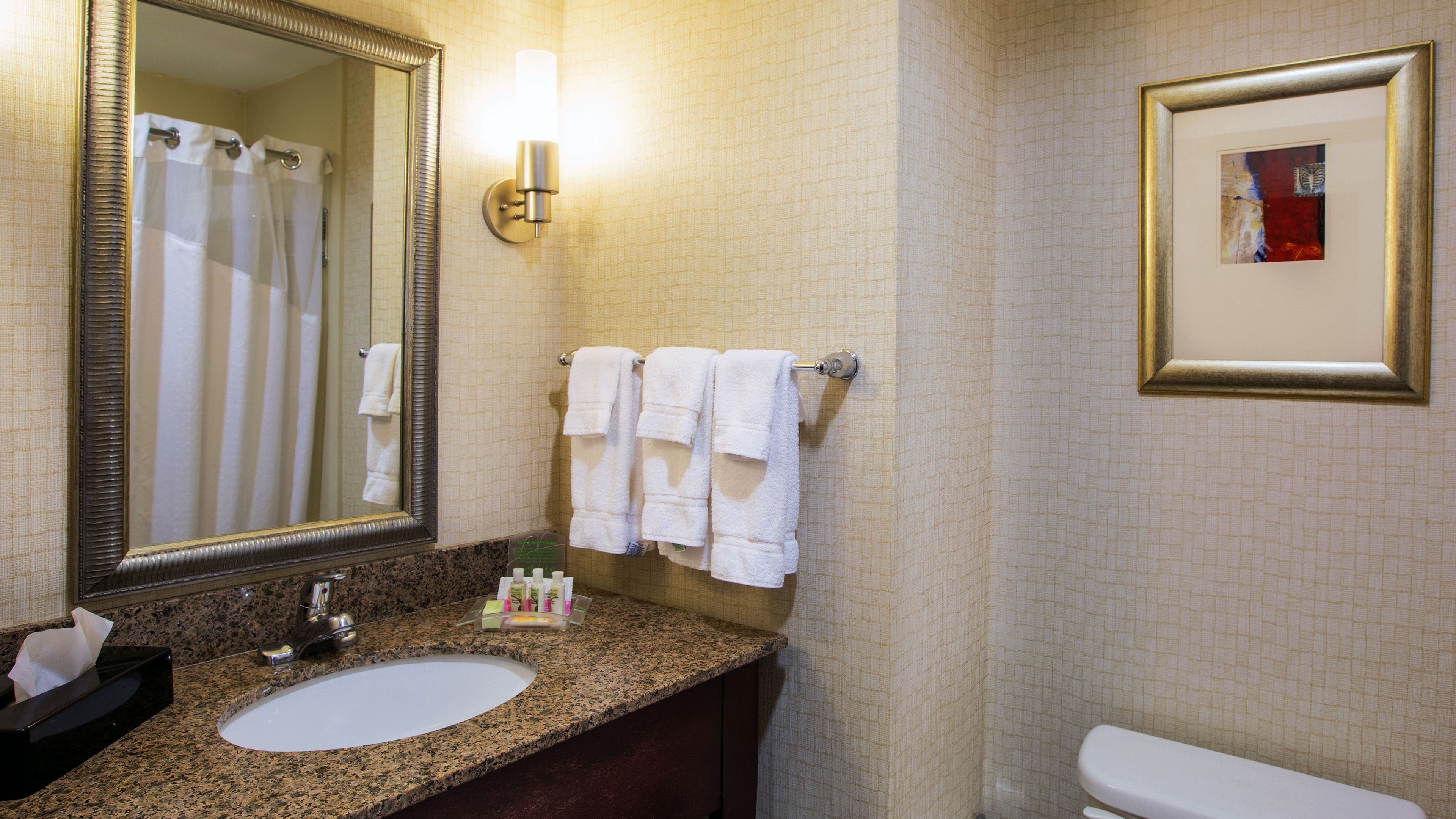 Holiday Inn Oklahoma City Airport — 17