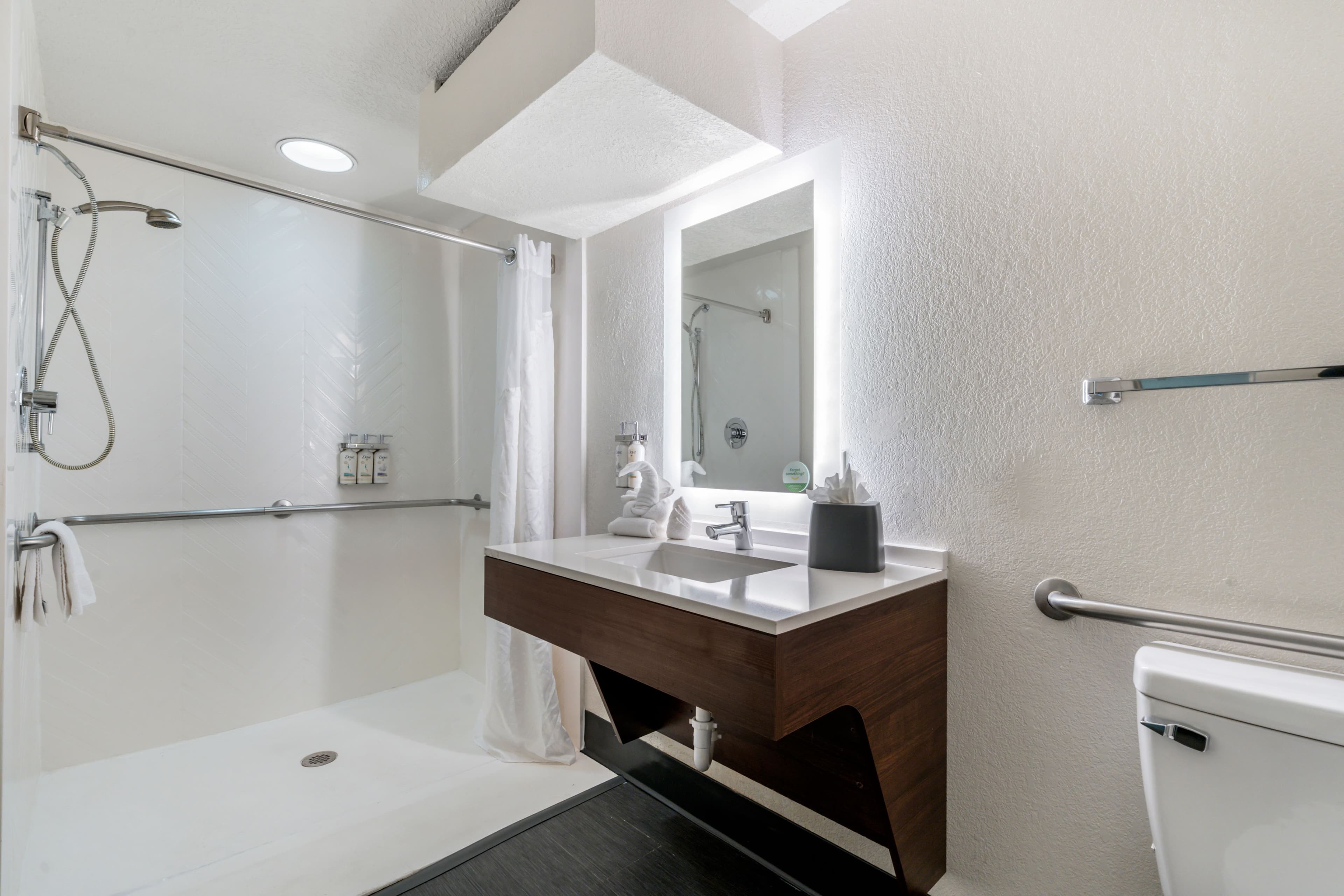 Holiday Inn Orlando International Dr-ICON — 19