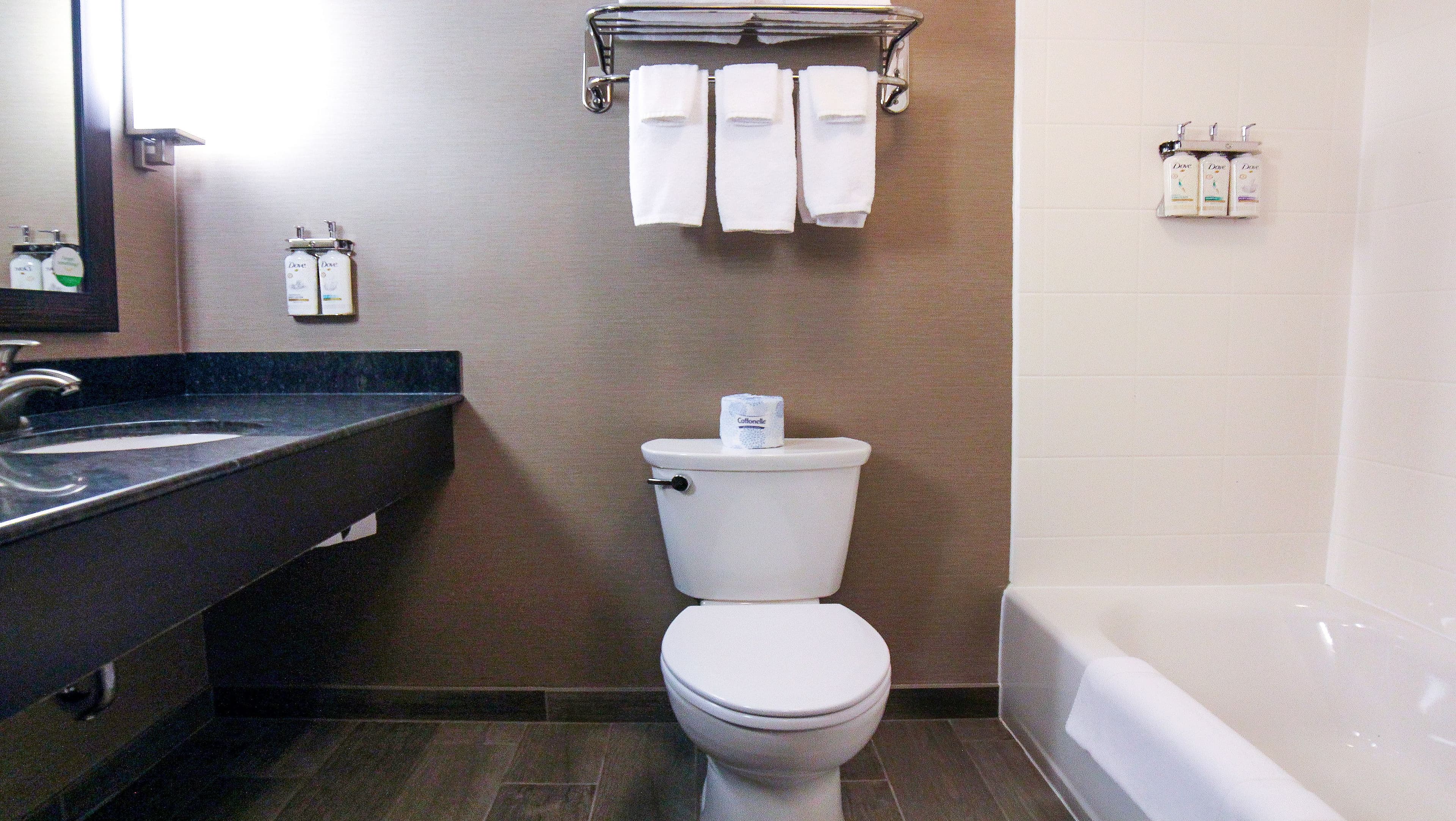 Holiday Inn Owensboro Riverfront - Image 4