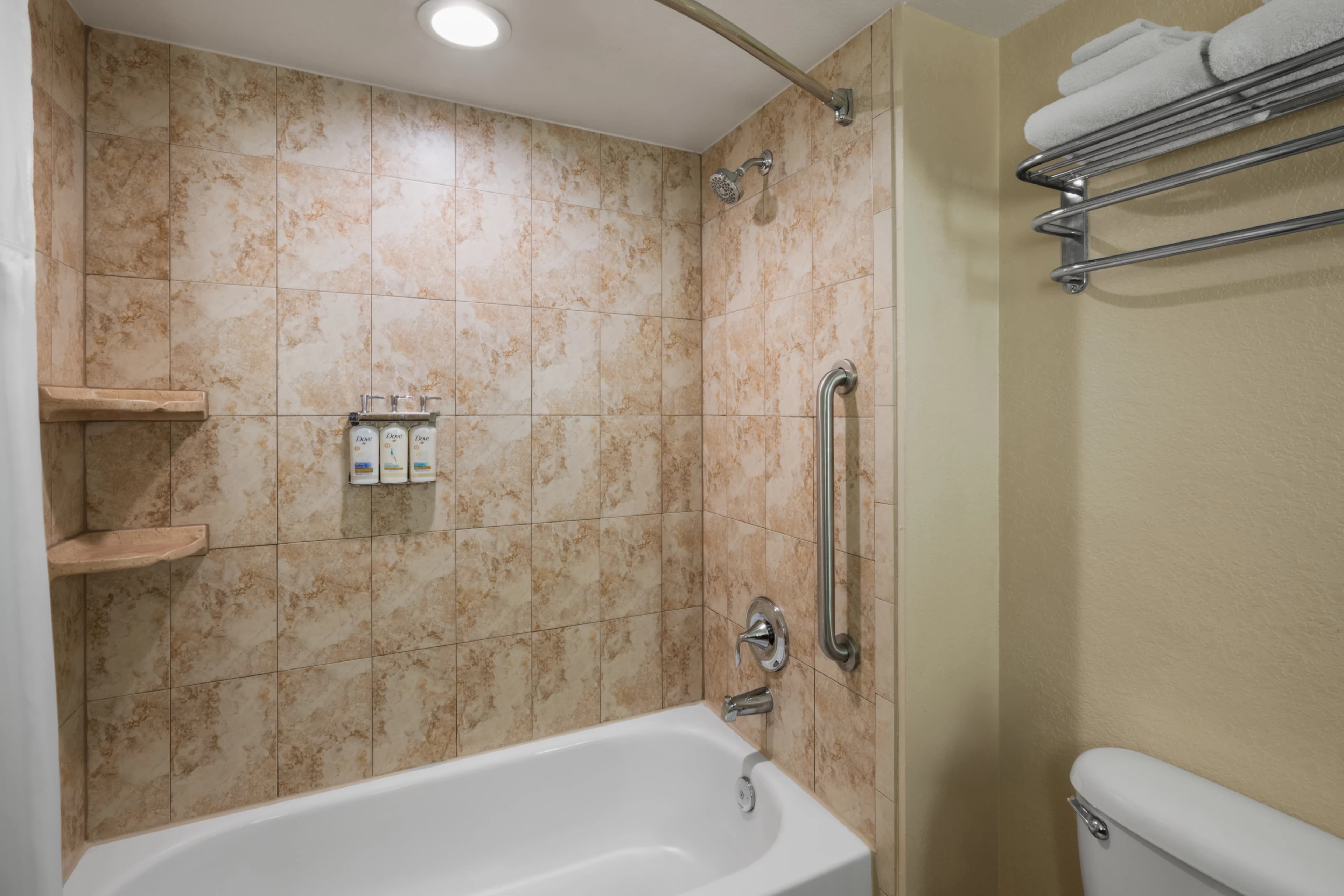 Holiday Inn Resort Orlando Lake Buena Vista — 7