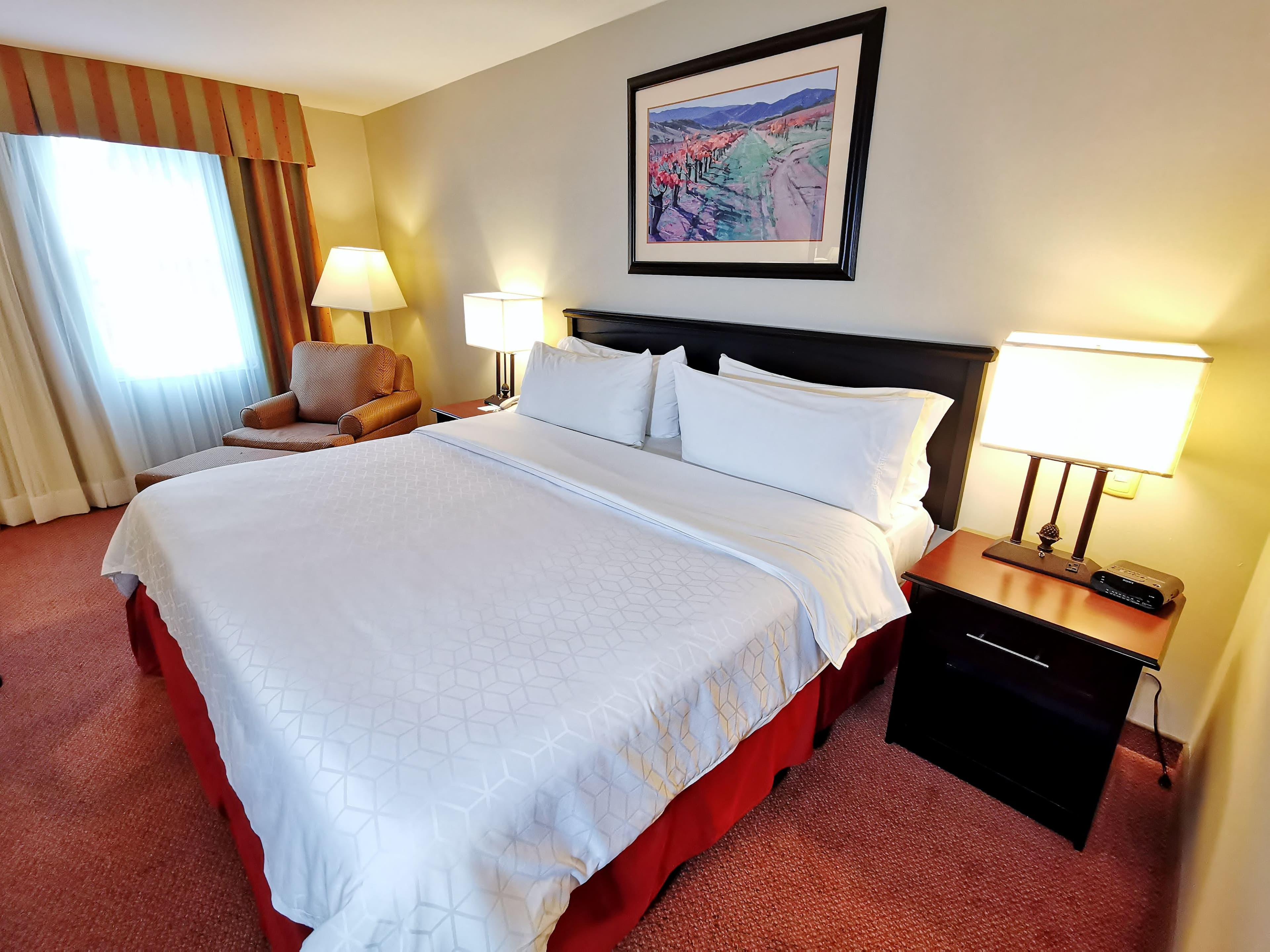 Holiday Inn Reynosa Zona Dorada - Image 3