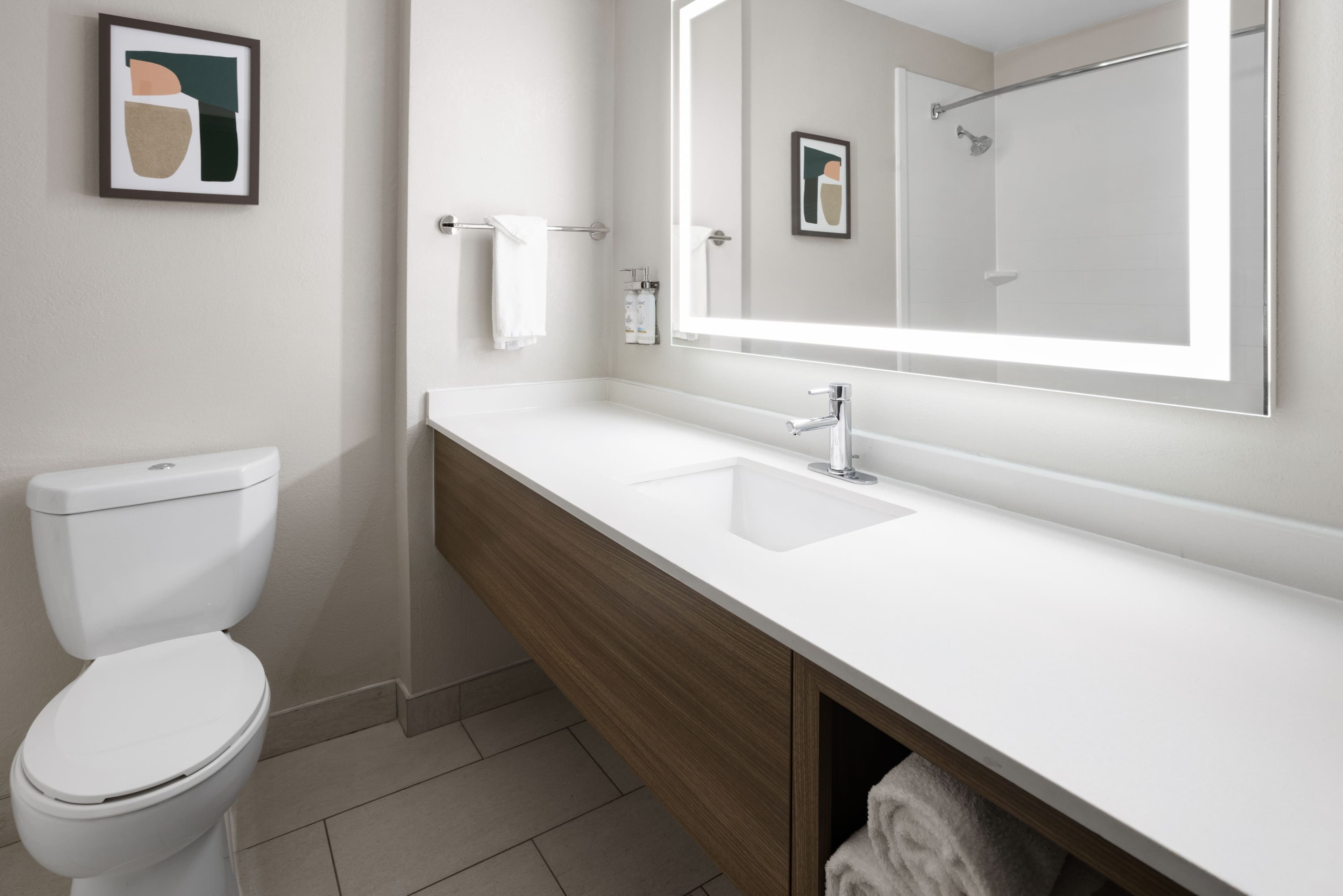 Holiday Inn Roanoke-Tanglewood-Rt 419&I581 — 8