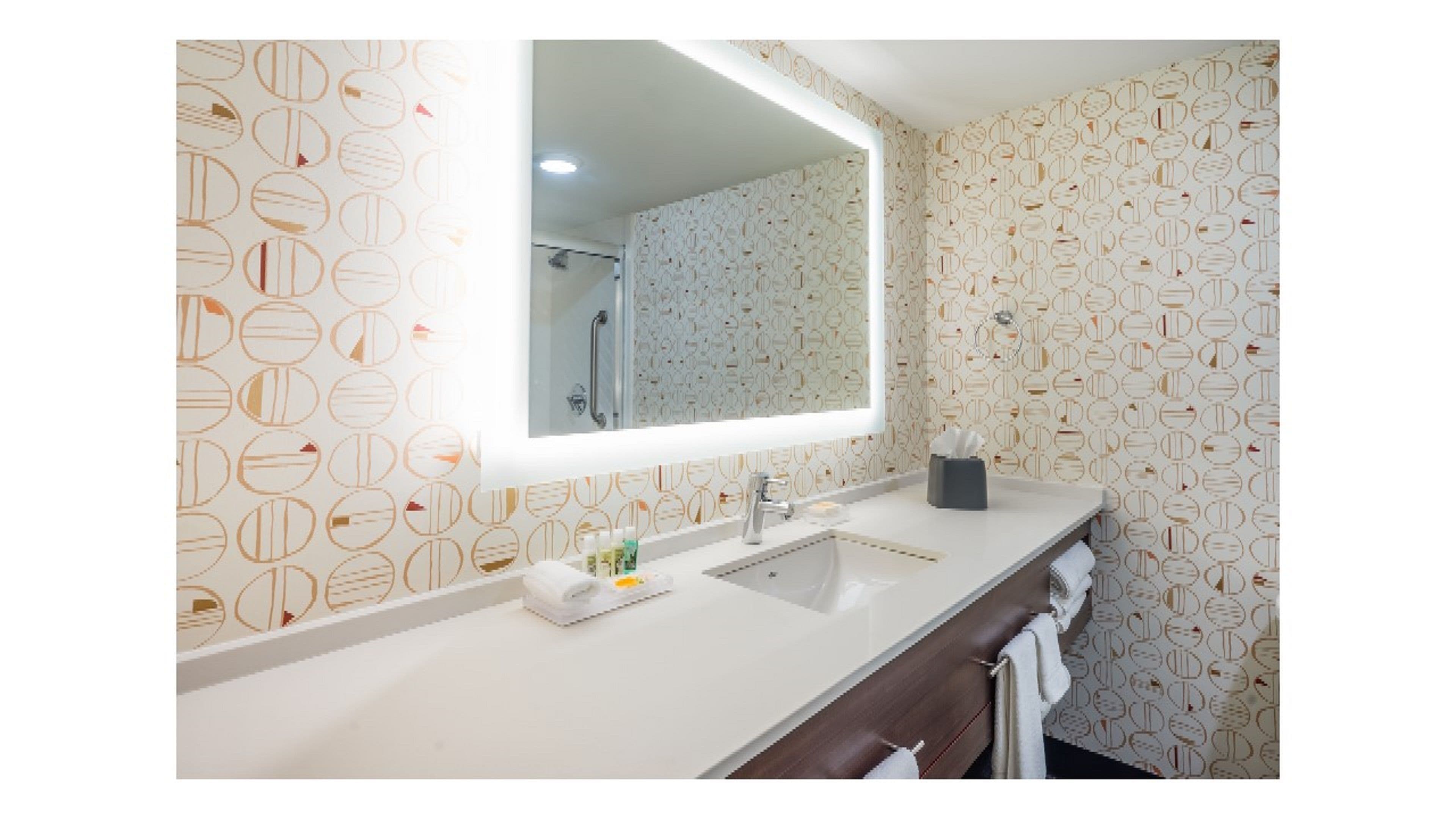 Holiday Inn Roanoke Airport-Conference CTR - Image 4