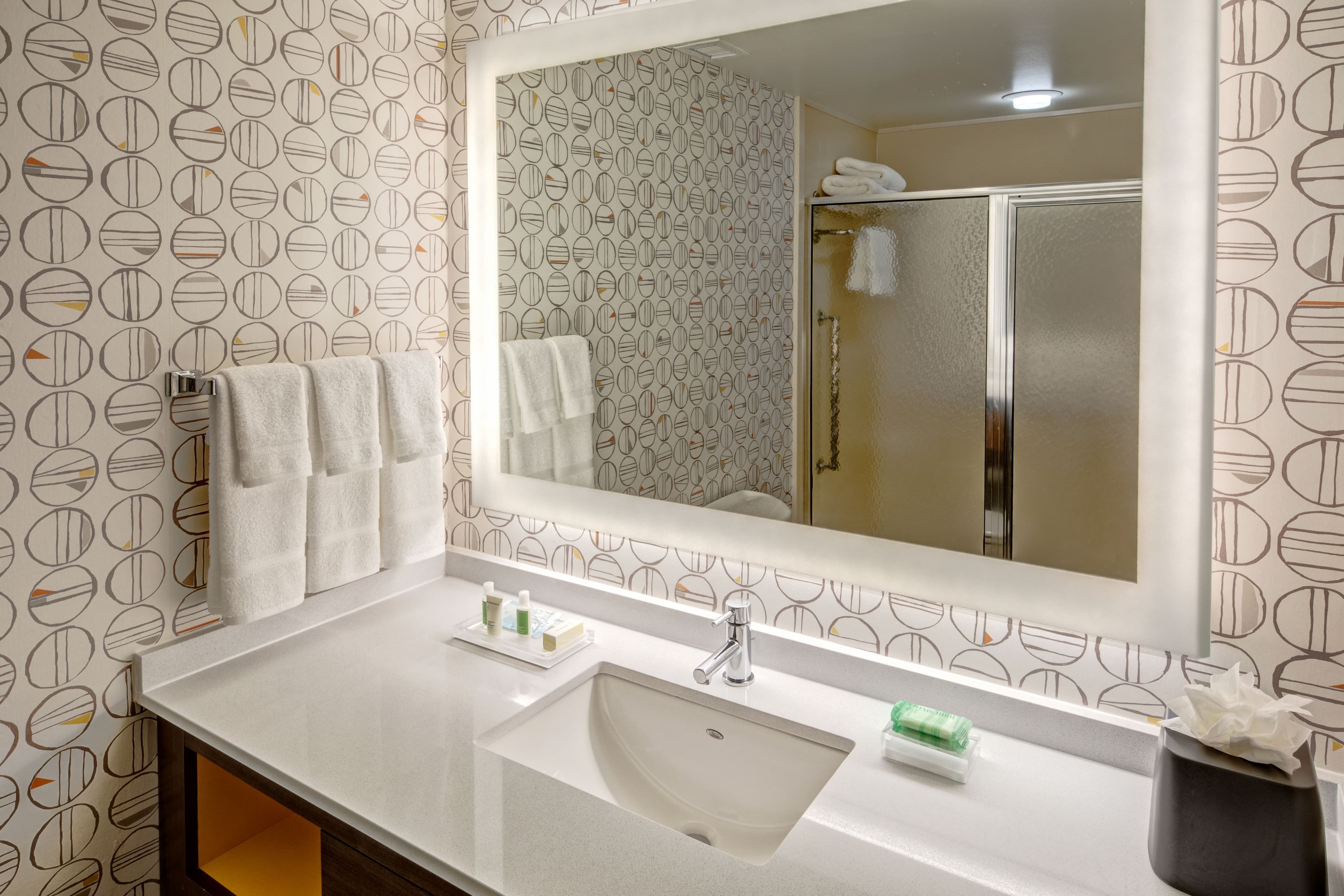 Holiday Inn Rocky Mount - I-95 at US 64 — 4