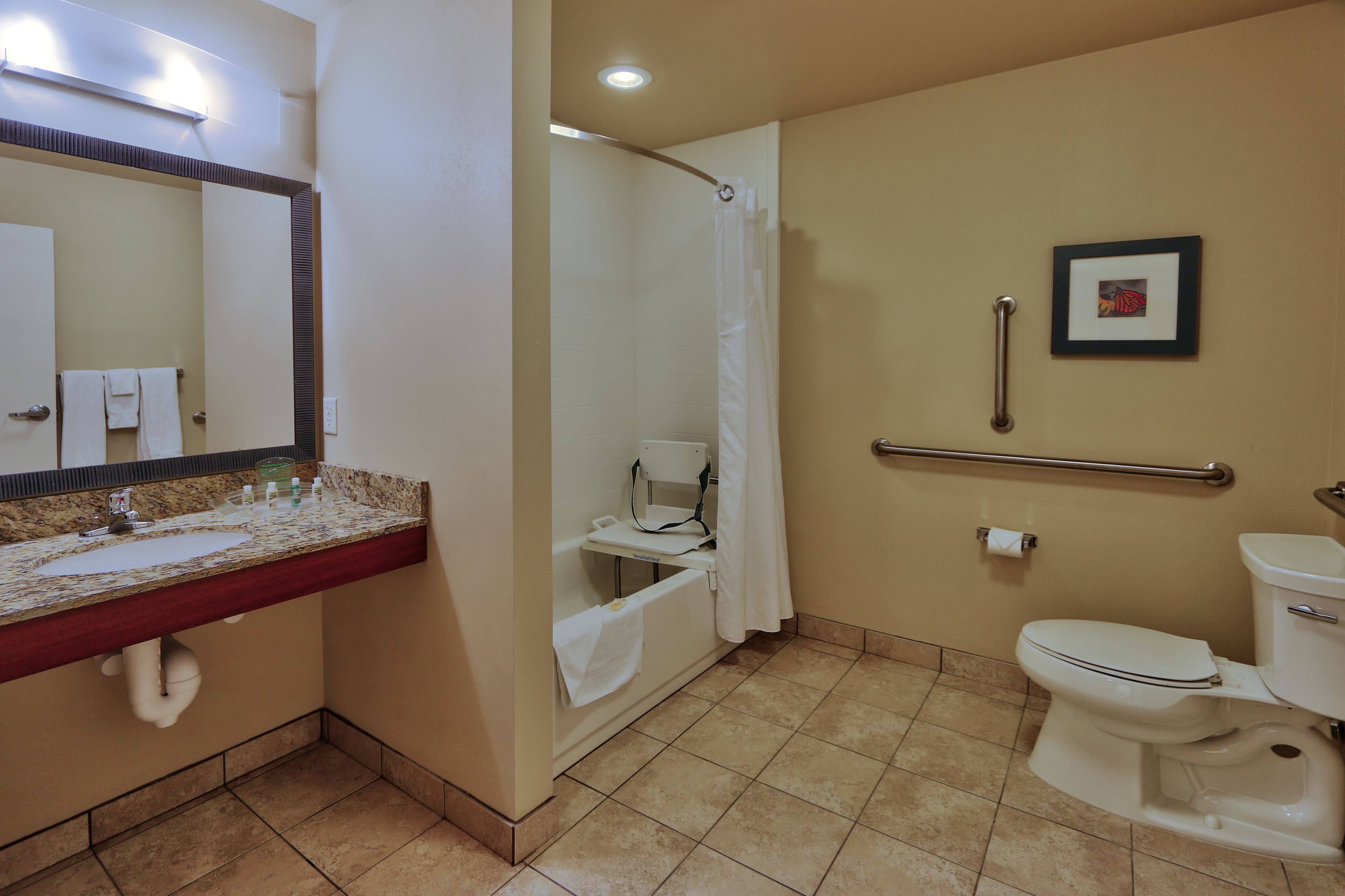 Holiday Inn Roswell - Image 5