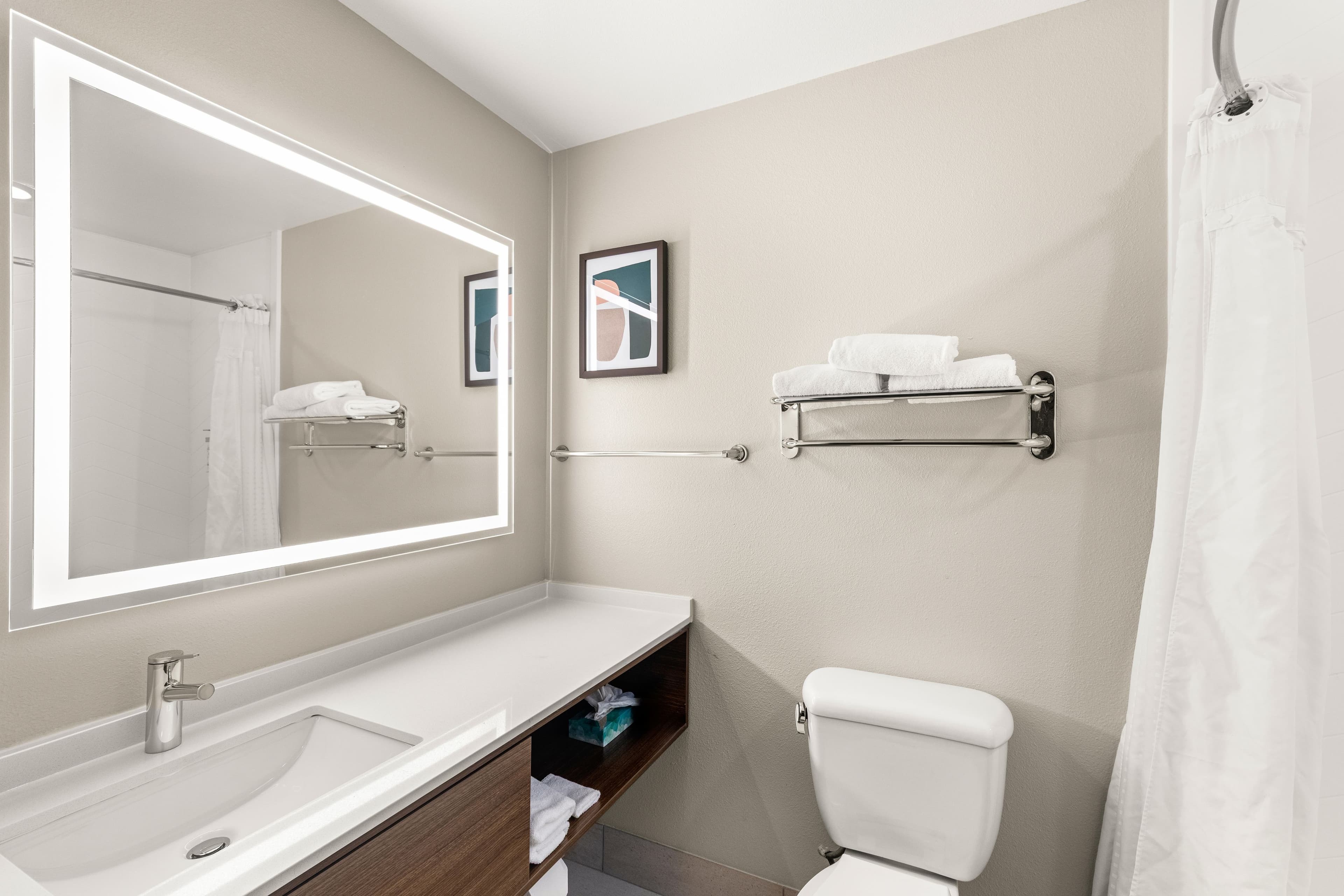 Holiday Inn Austin North - Round Rock — 4