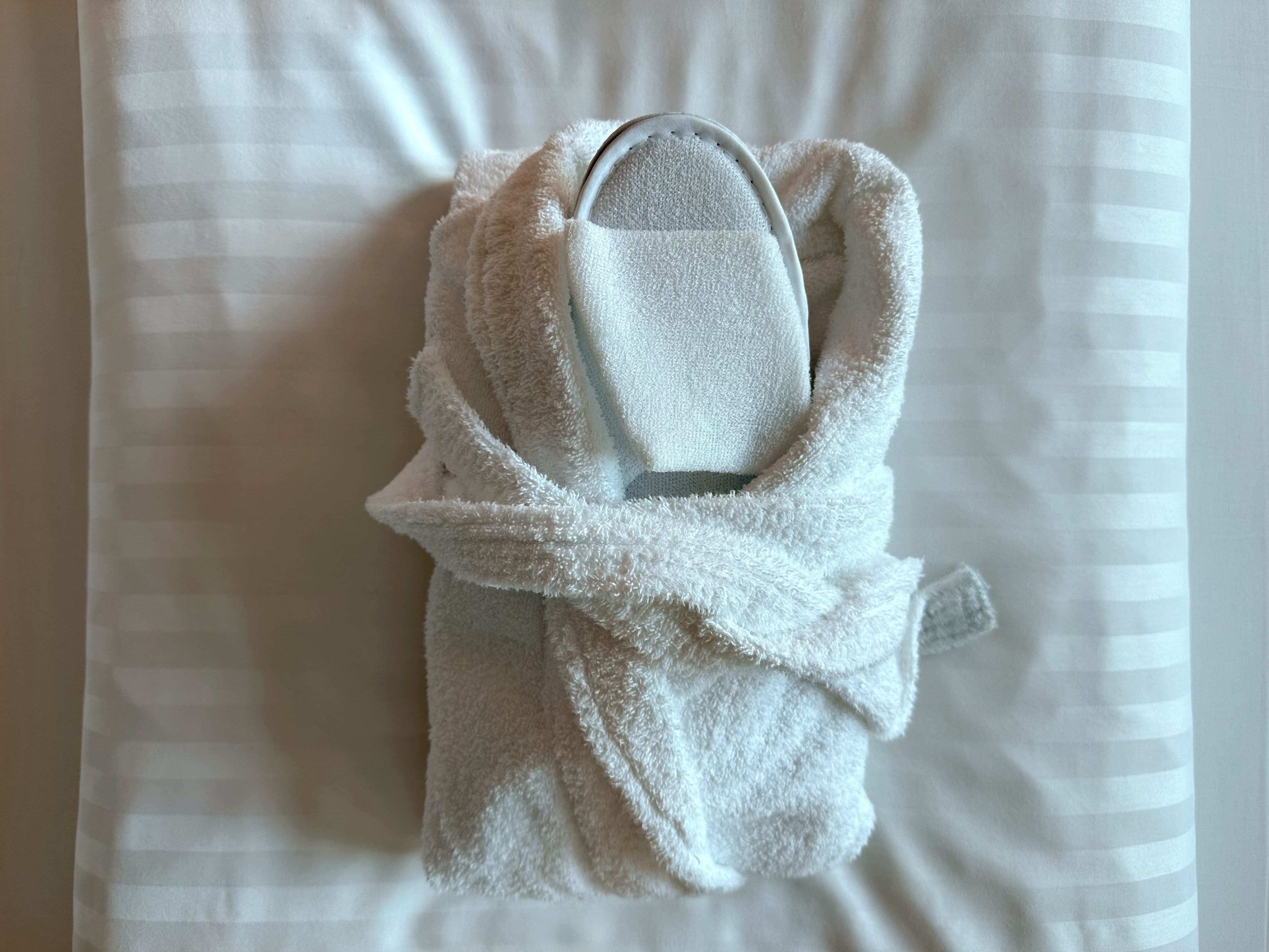 Holiday Inn Salzburg City — 27