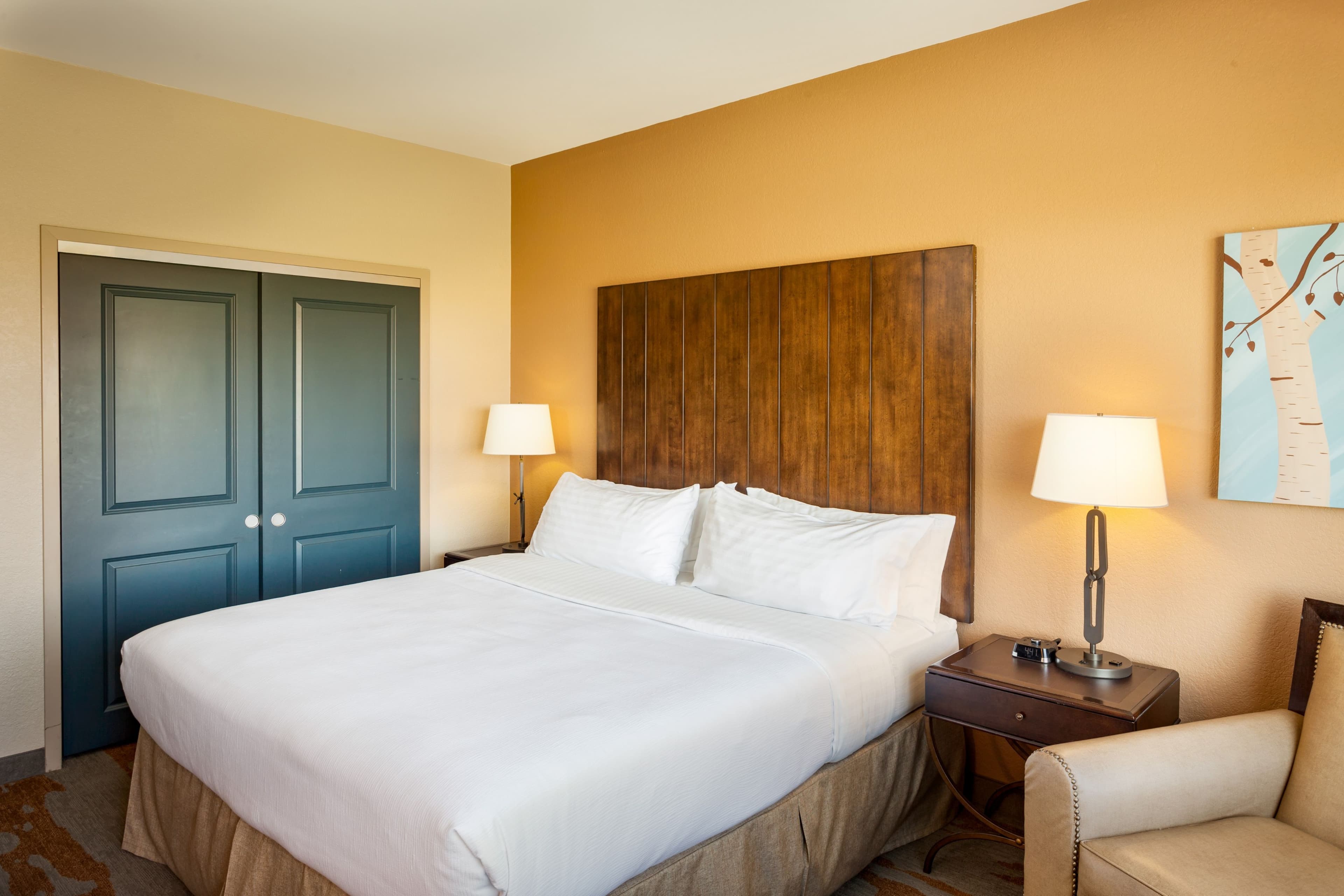 Holiday Inn San Antonio SeaWorld — 8