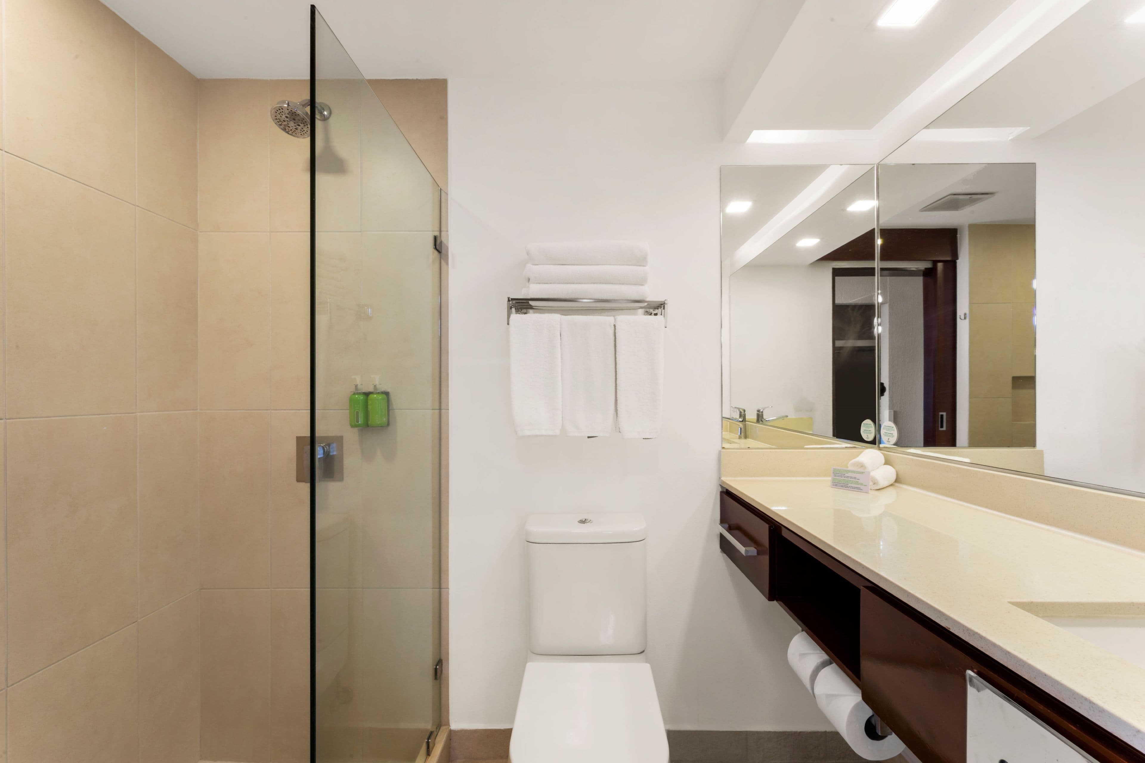 Holiday Inn San Jose La Sabana — 10