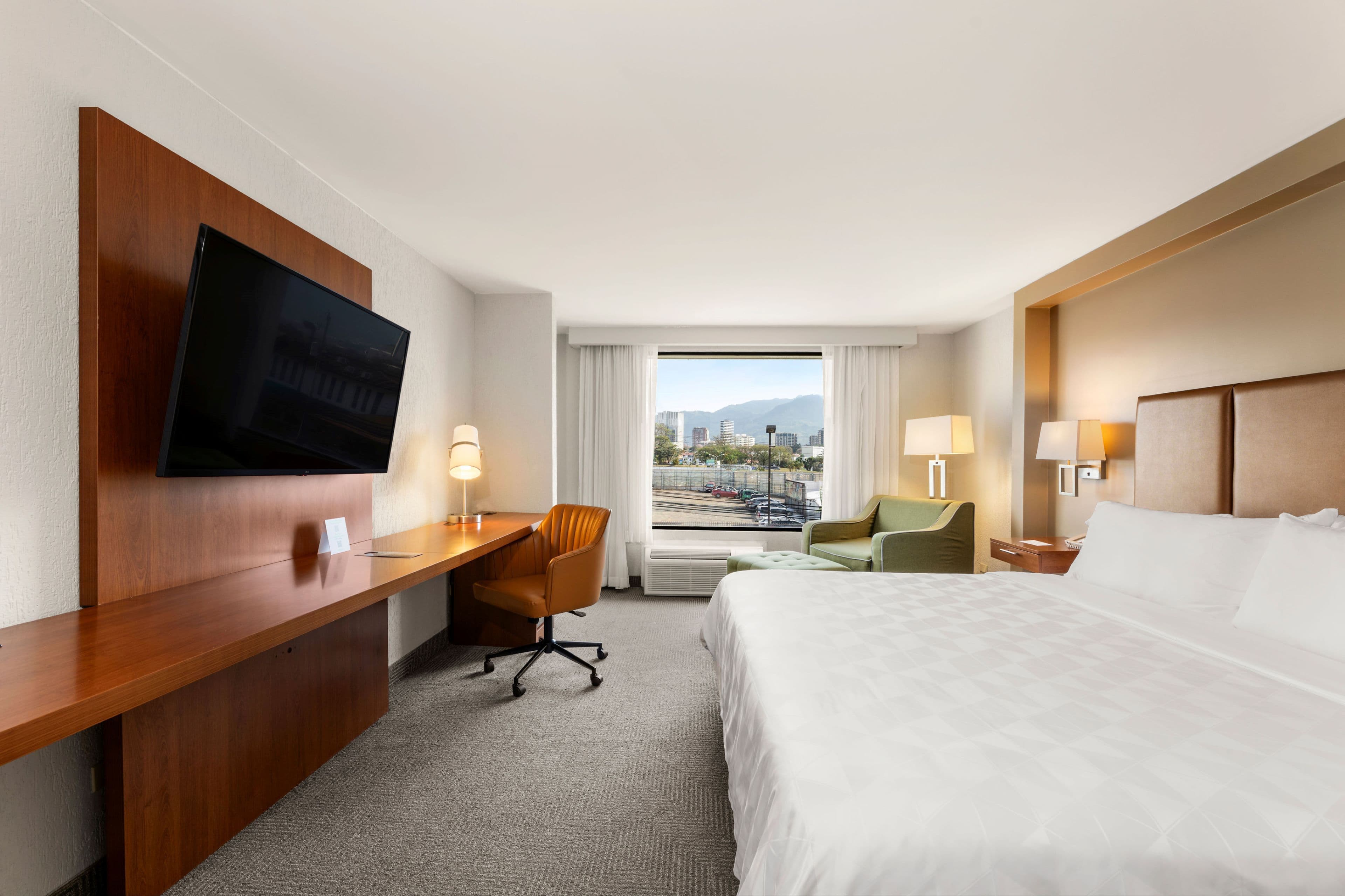 Holiday Inn San Jose La Sabana — 77