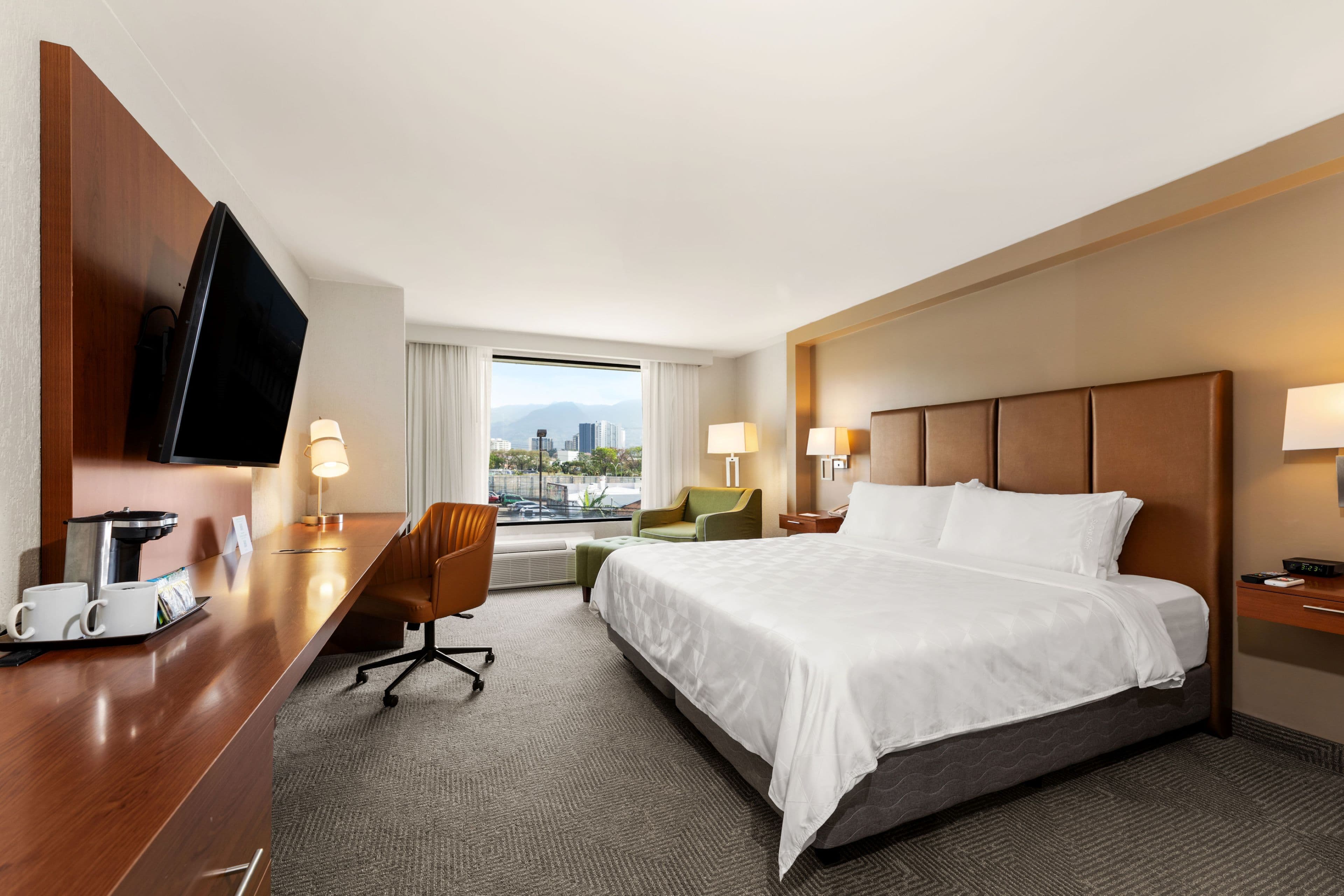 Holiday Inn San Jose La Sabana — 76