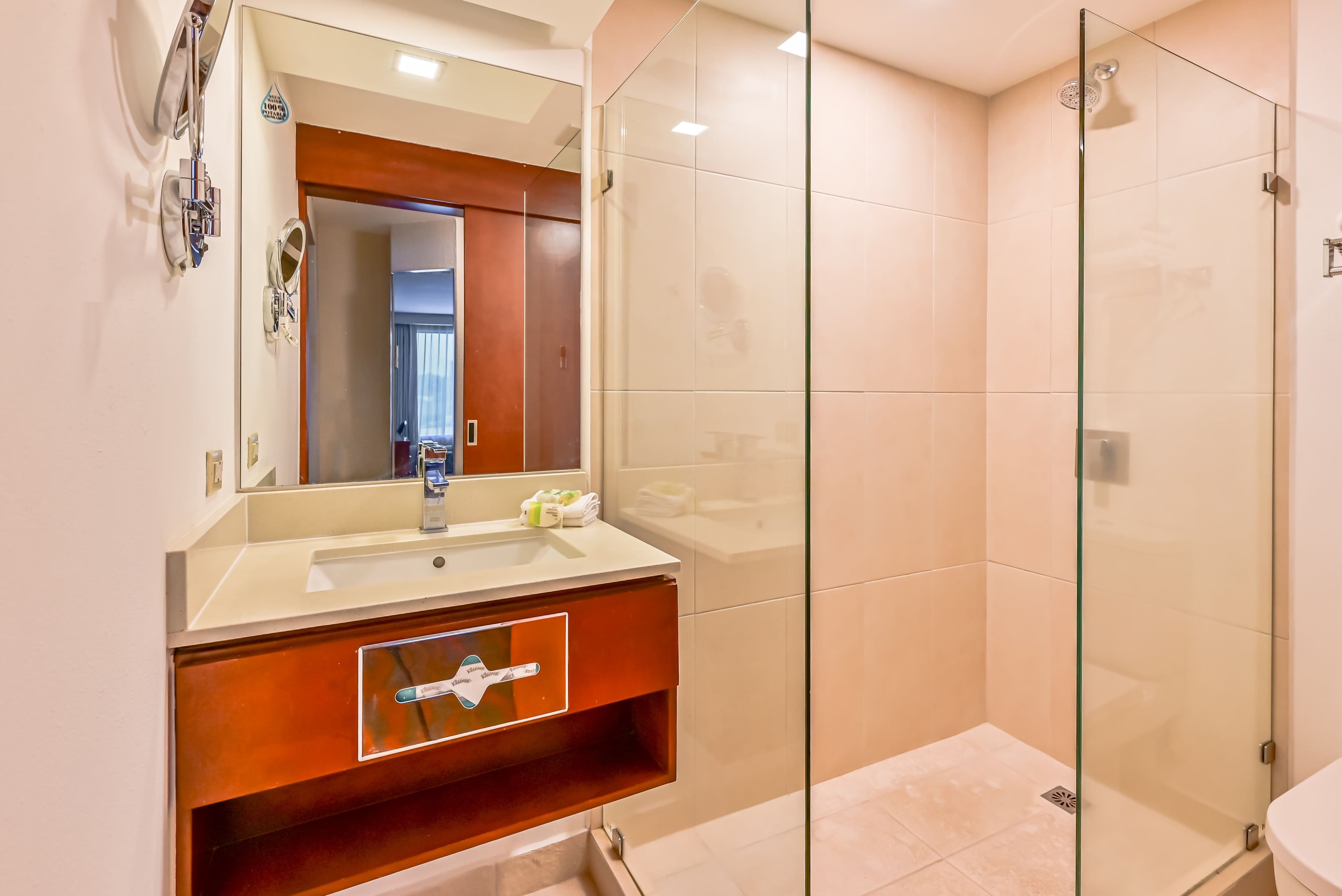 Holiday Inn San Jose La Sabana - Image 5