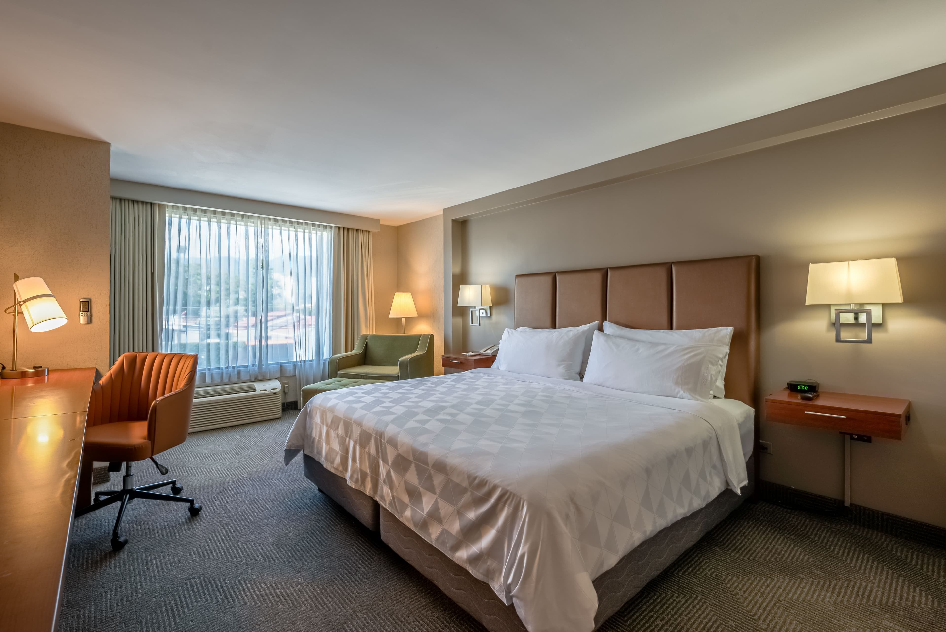 Holiday Inn San Jose La Sabana — 58