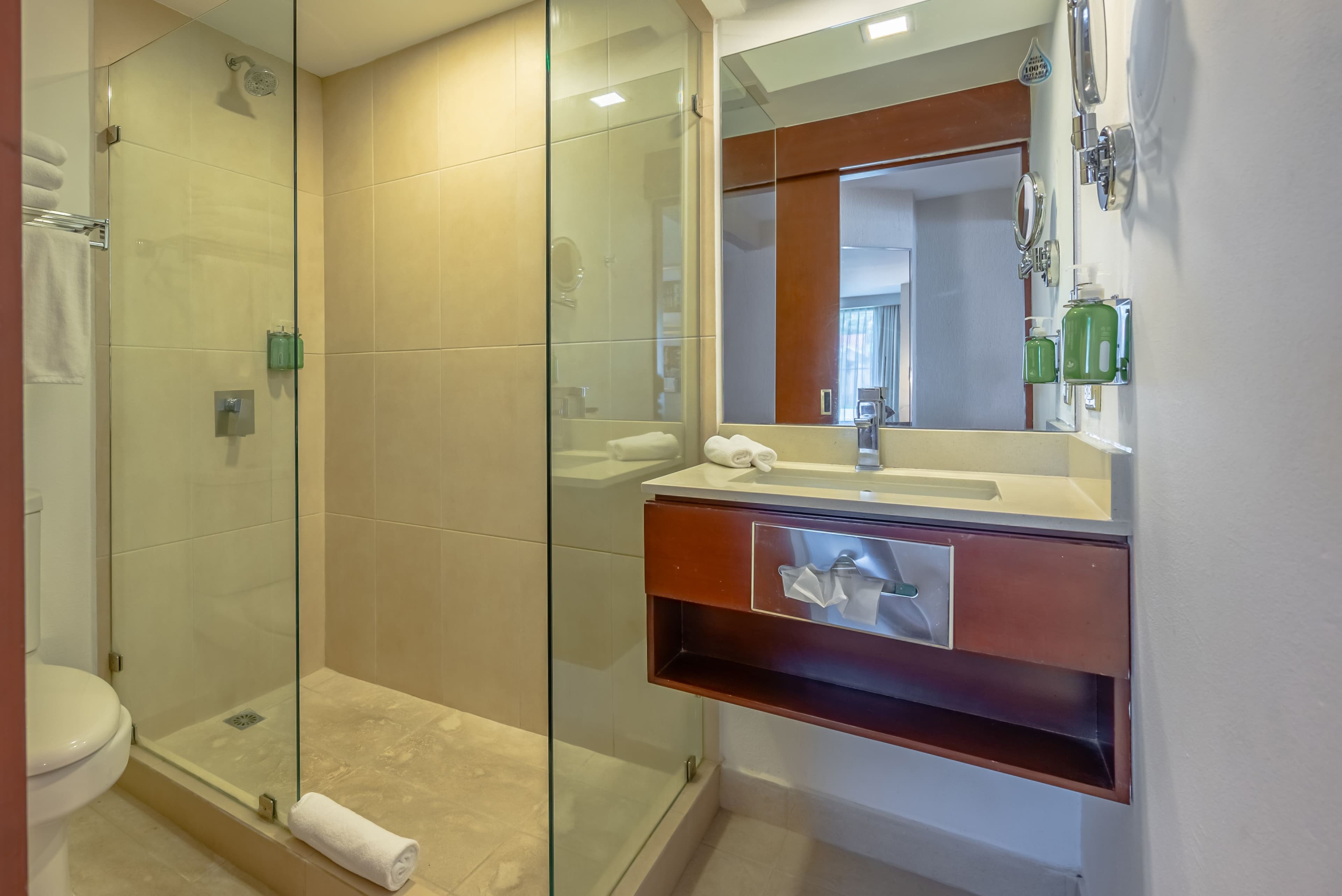 Holiday Inn San Jose La Sabana — 6