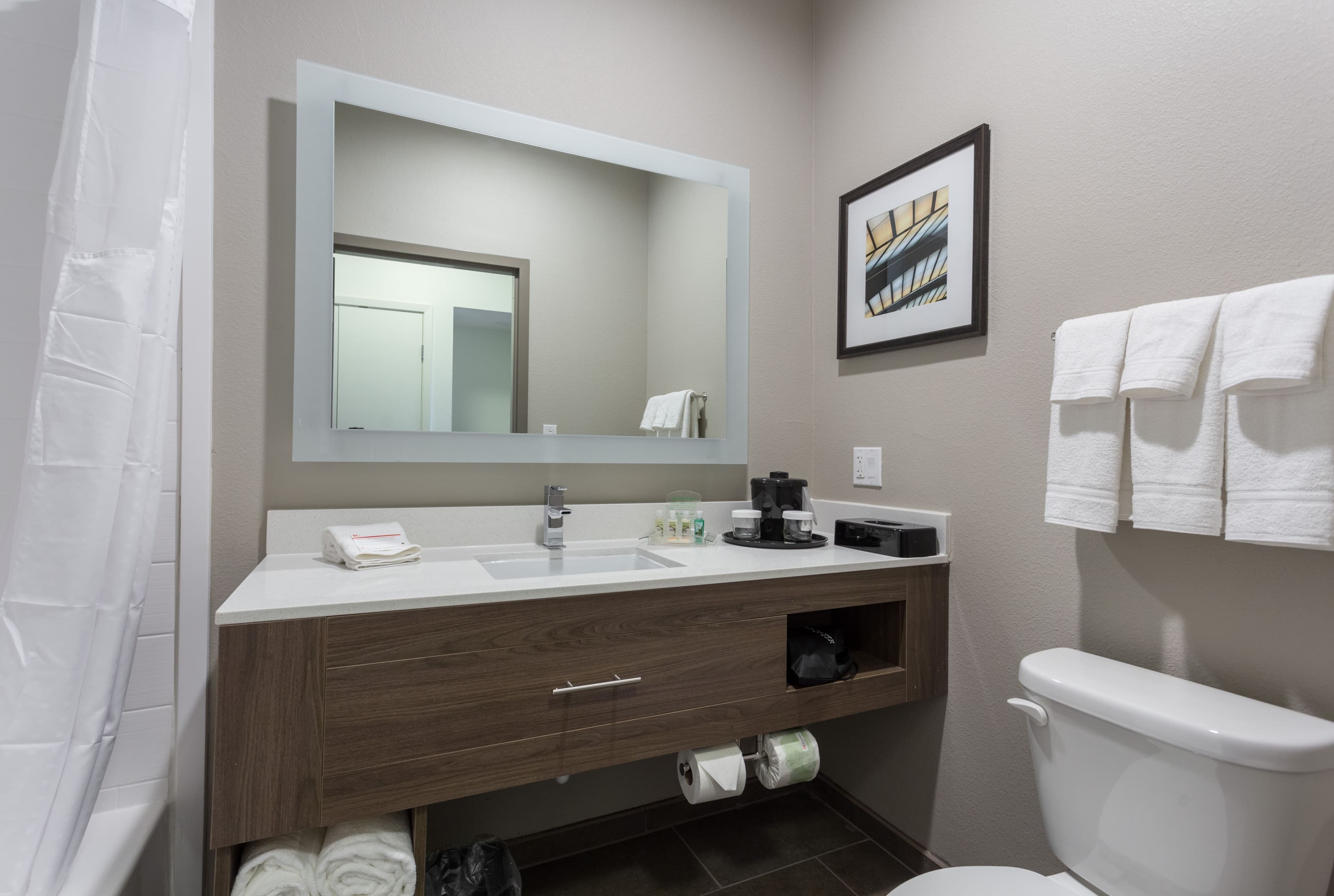 Holiday Inn San Marcos-Convention CTR Area — 6