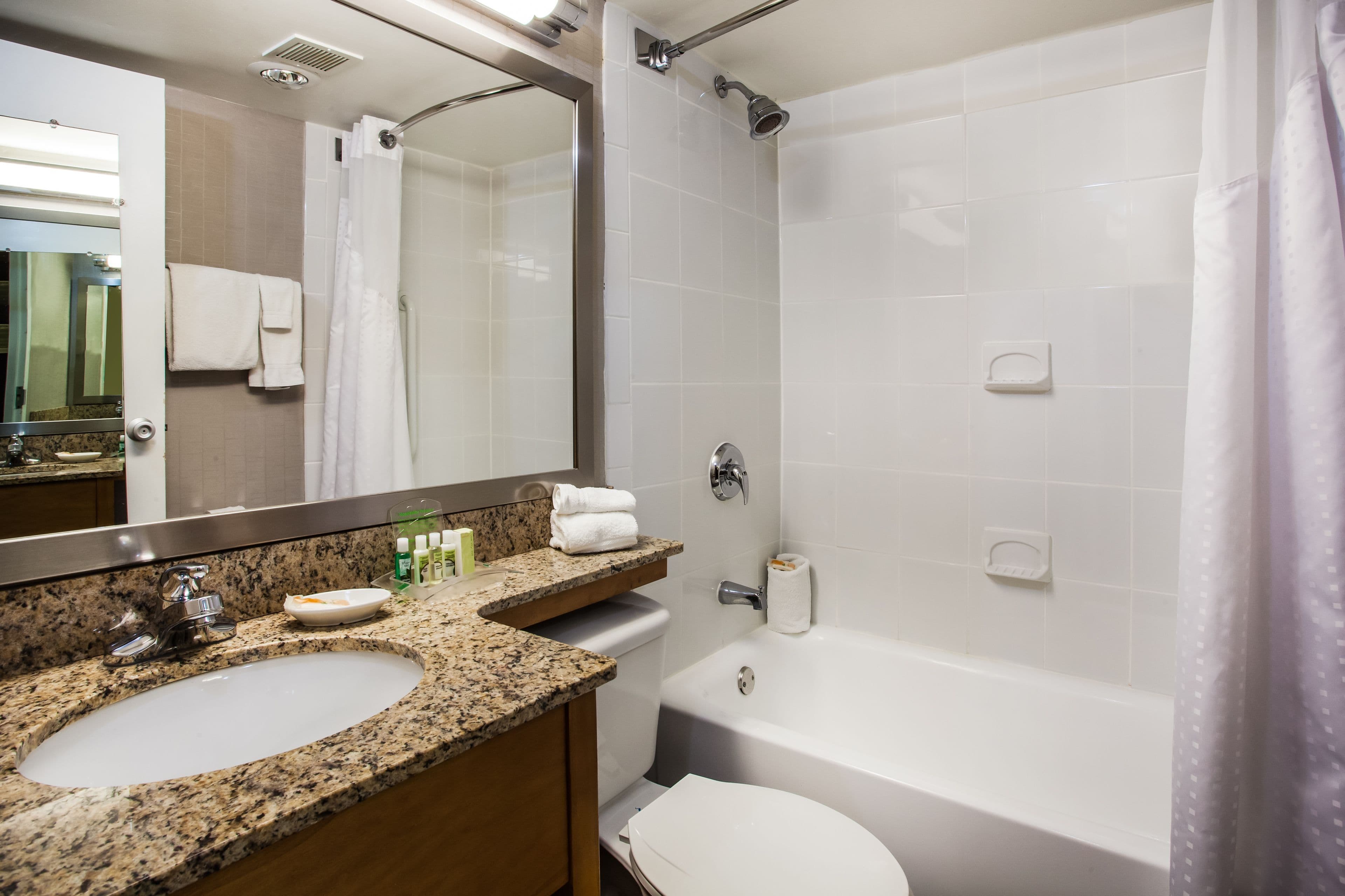 Holiday Inn Saratoga Springs - Image 4