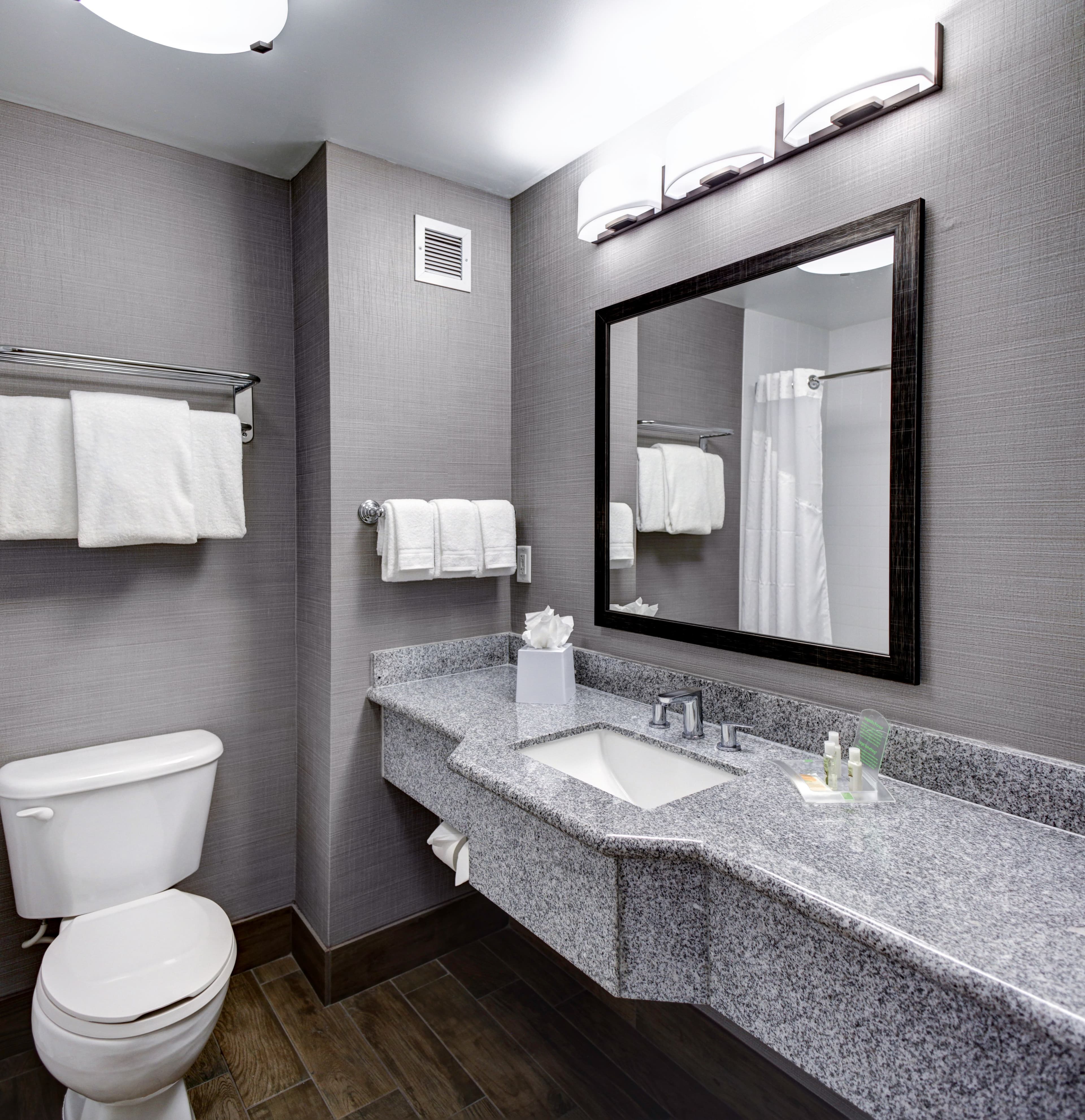 Holiday Inn Savannah Historic District — 7