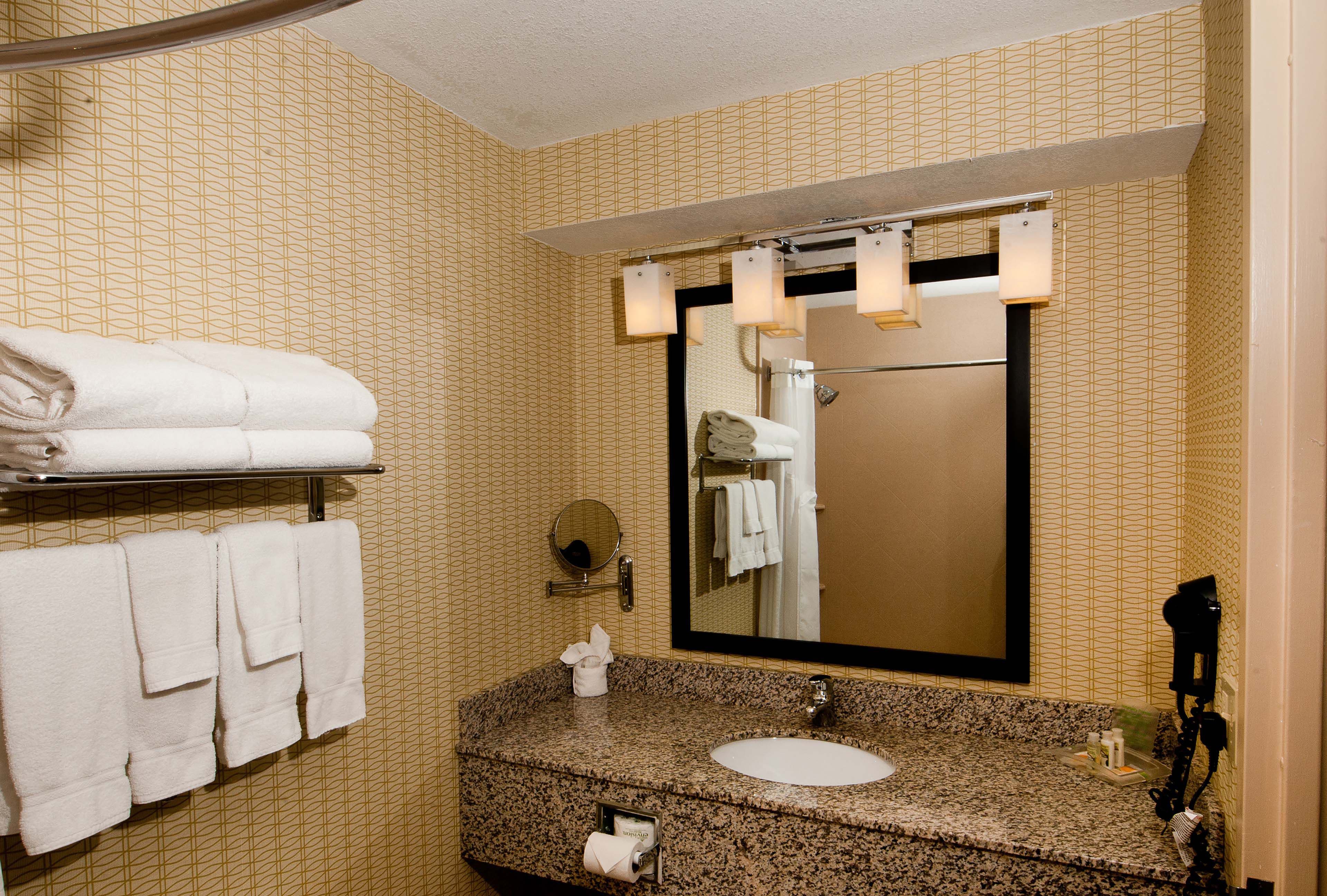 Holiday Inn St. Louis Arpt West-Earth City - Image 3