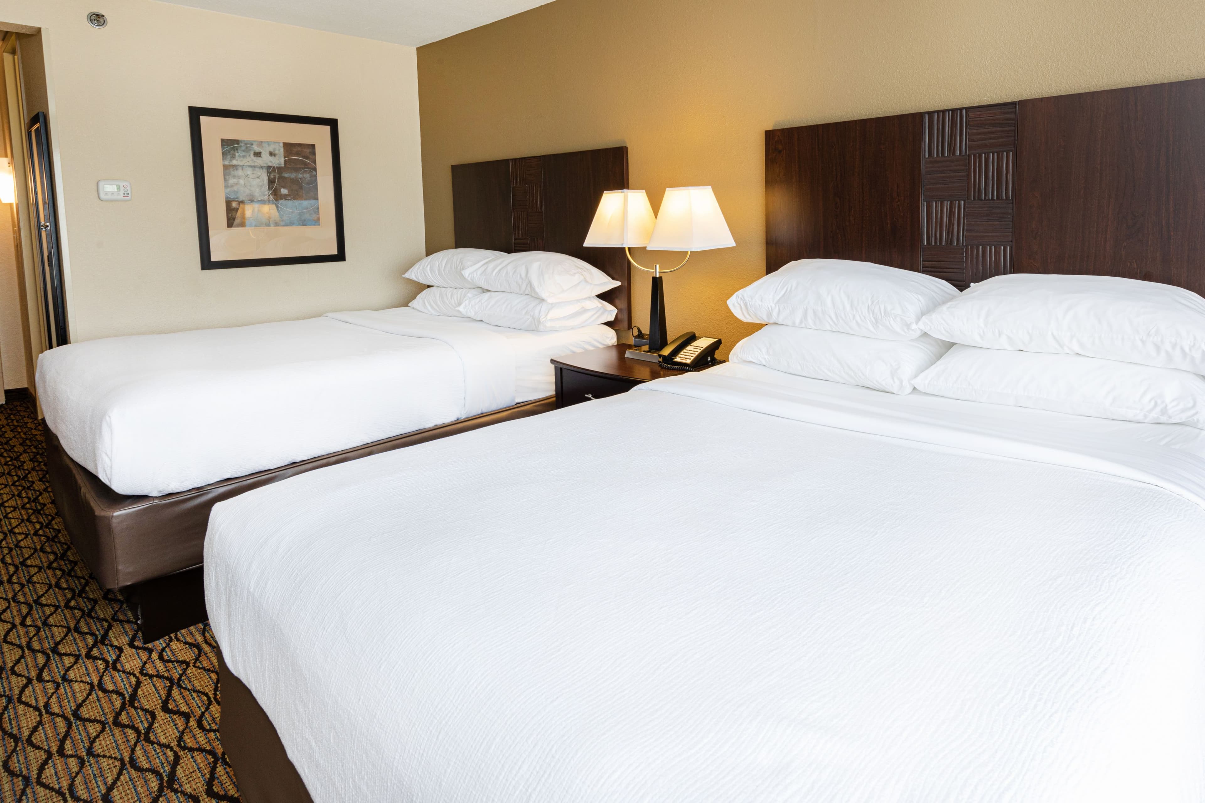 Holiday Inn St. Louis Arpt West-Earth City — 25