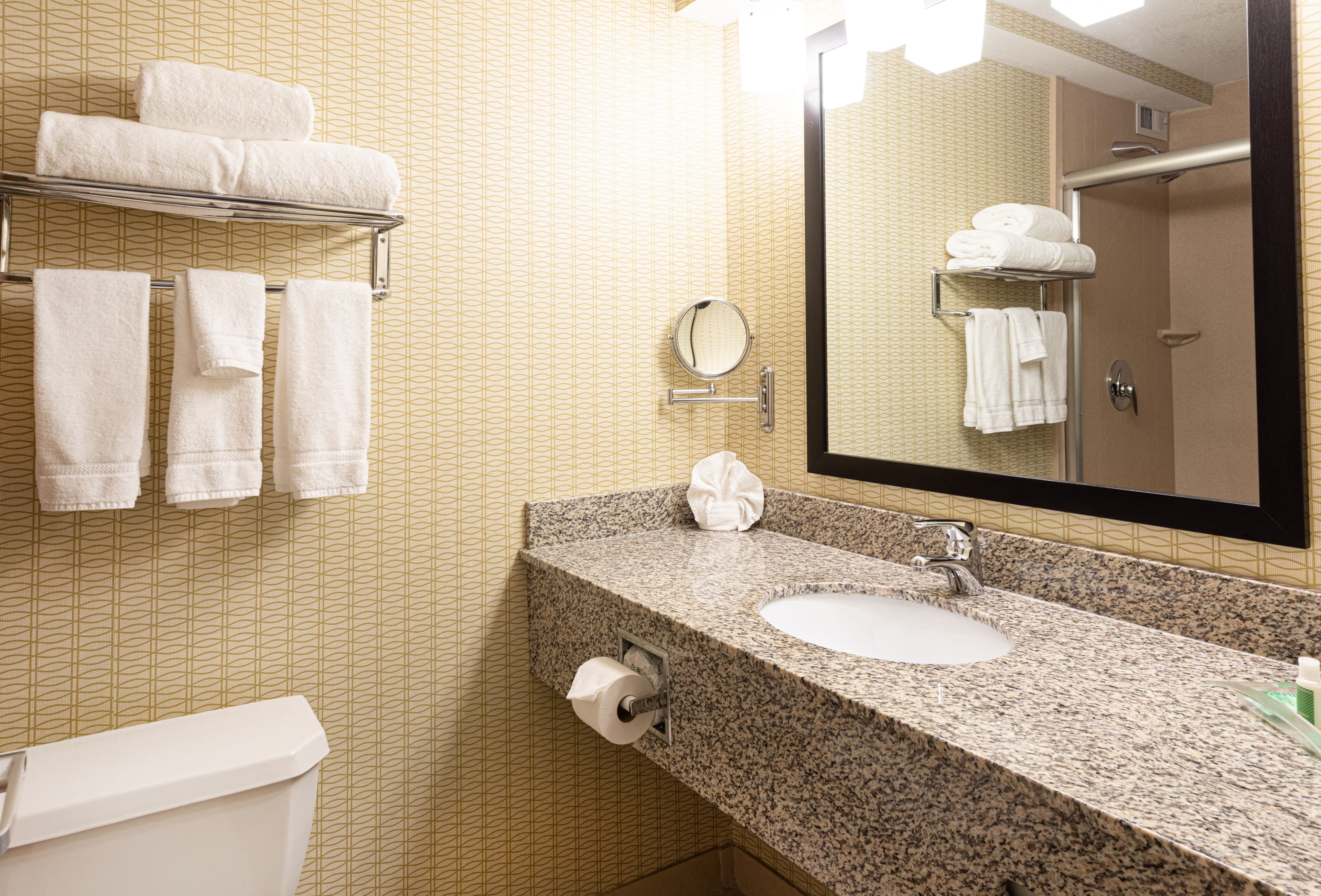 Holiday Inn St. Louis Arpt West-Earth City — 6