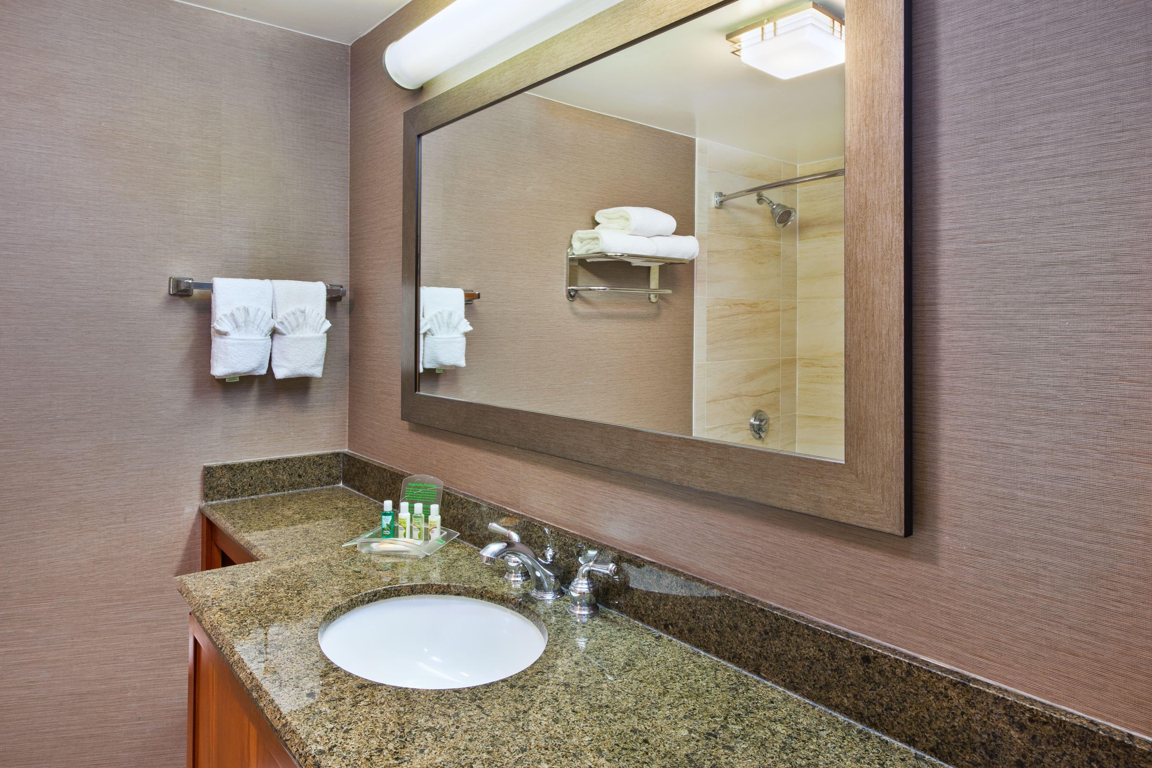 Holiday Inn Washington-Dulles Intl Airport - Image 3