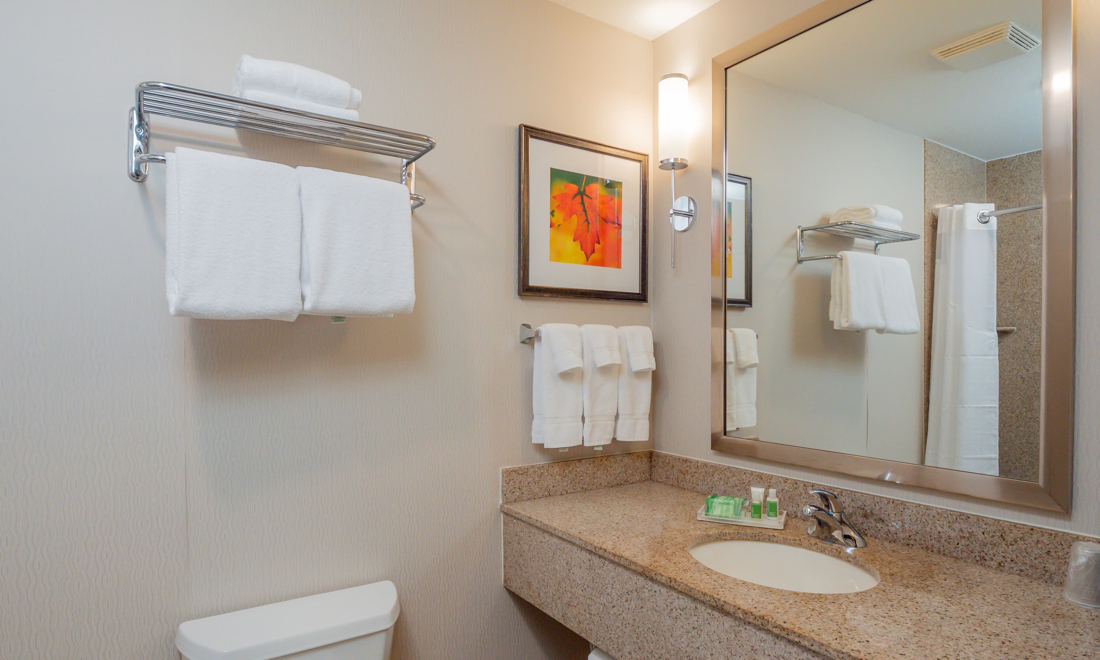 Holiday Inn Stevens Point - Convention Ctr — 34