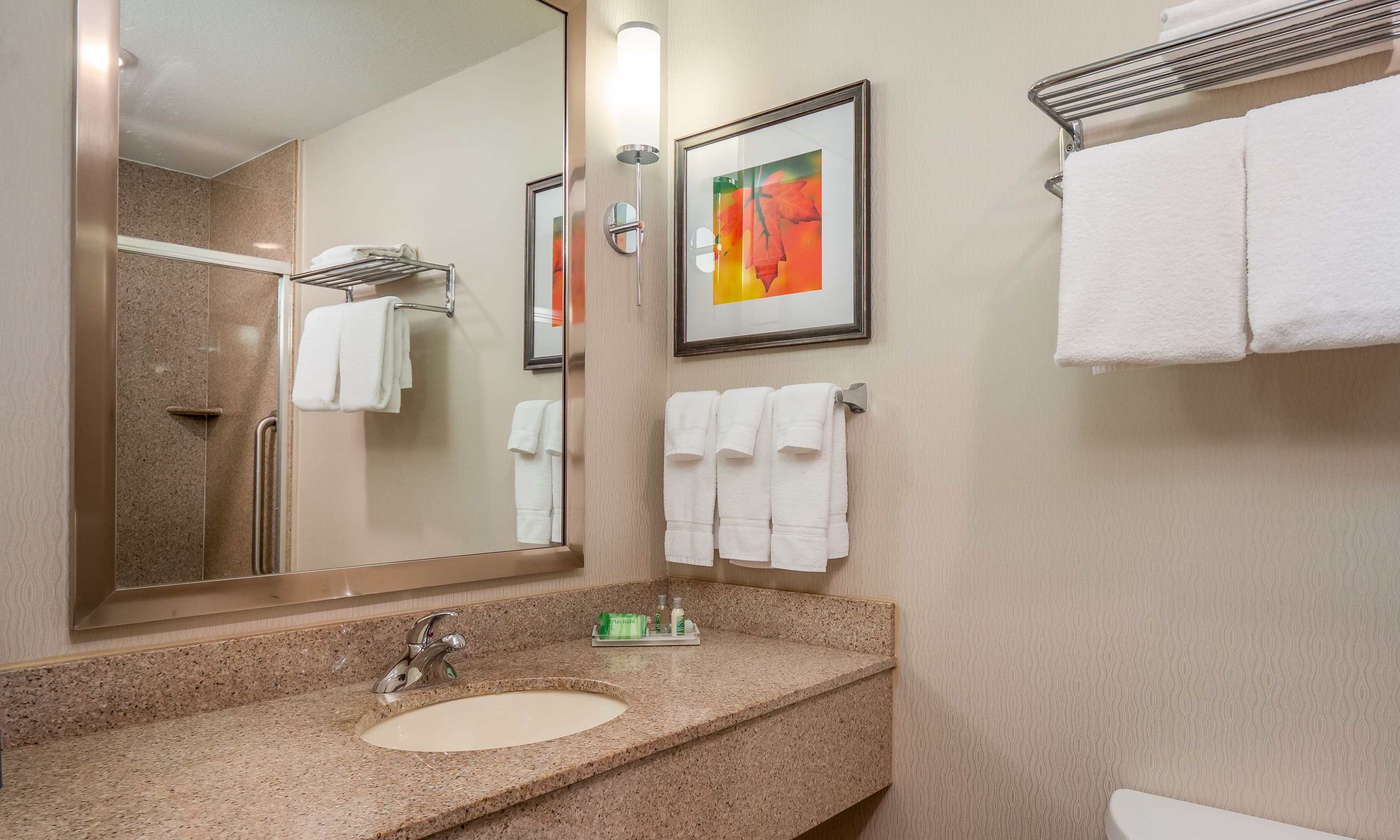 Holiday Inn Stevens Point - Convention Ctr — 7