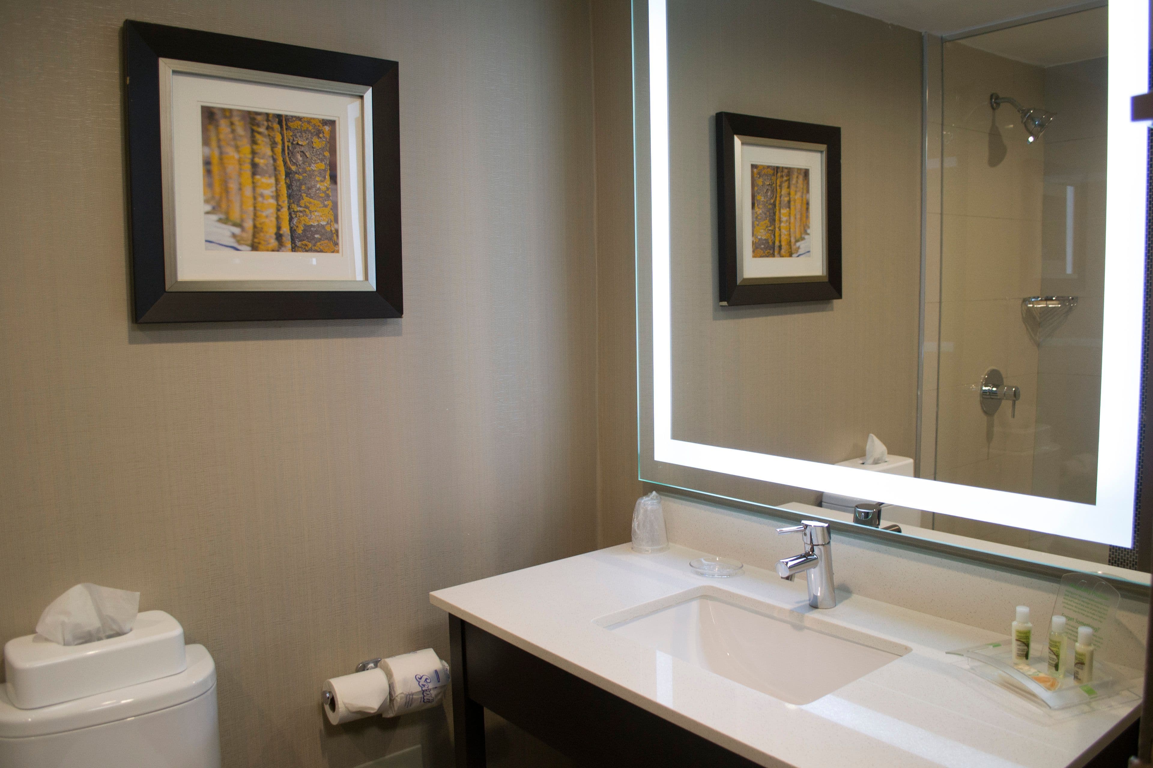 Holiday Inn Sudbury - Image 4