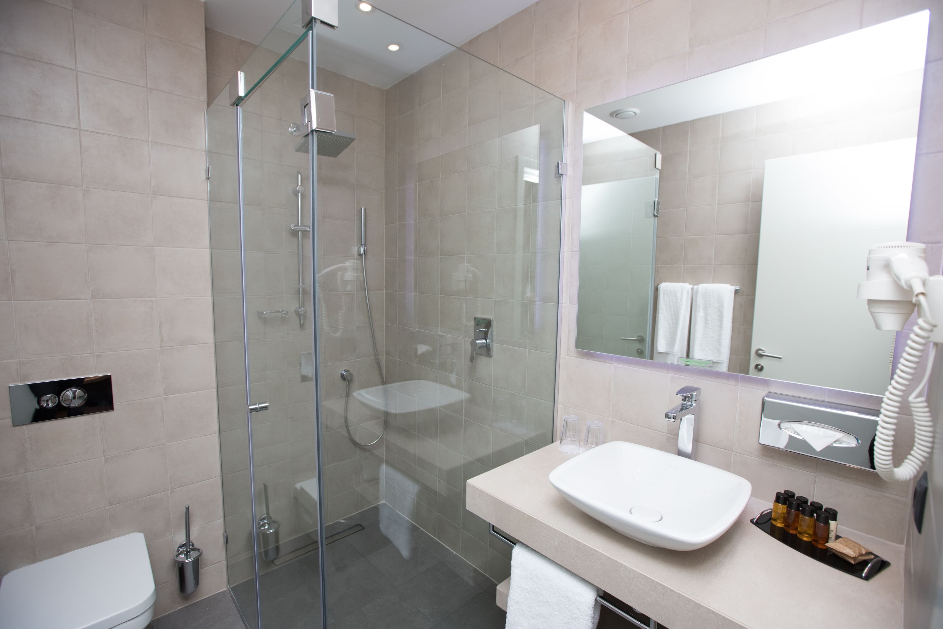 Holiday Inn Telavi — 36