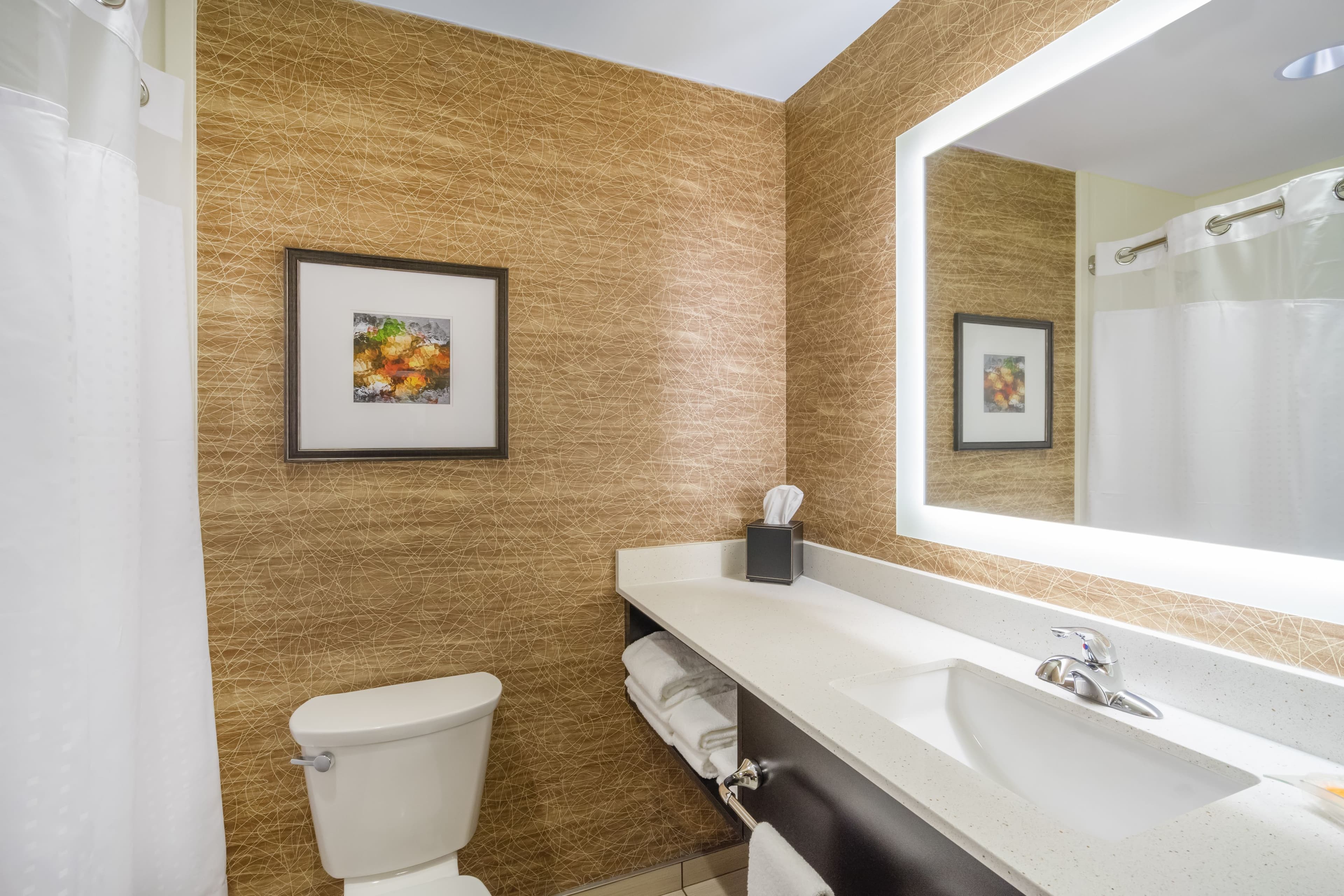 Holiday Inn Terre Haute — 13