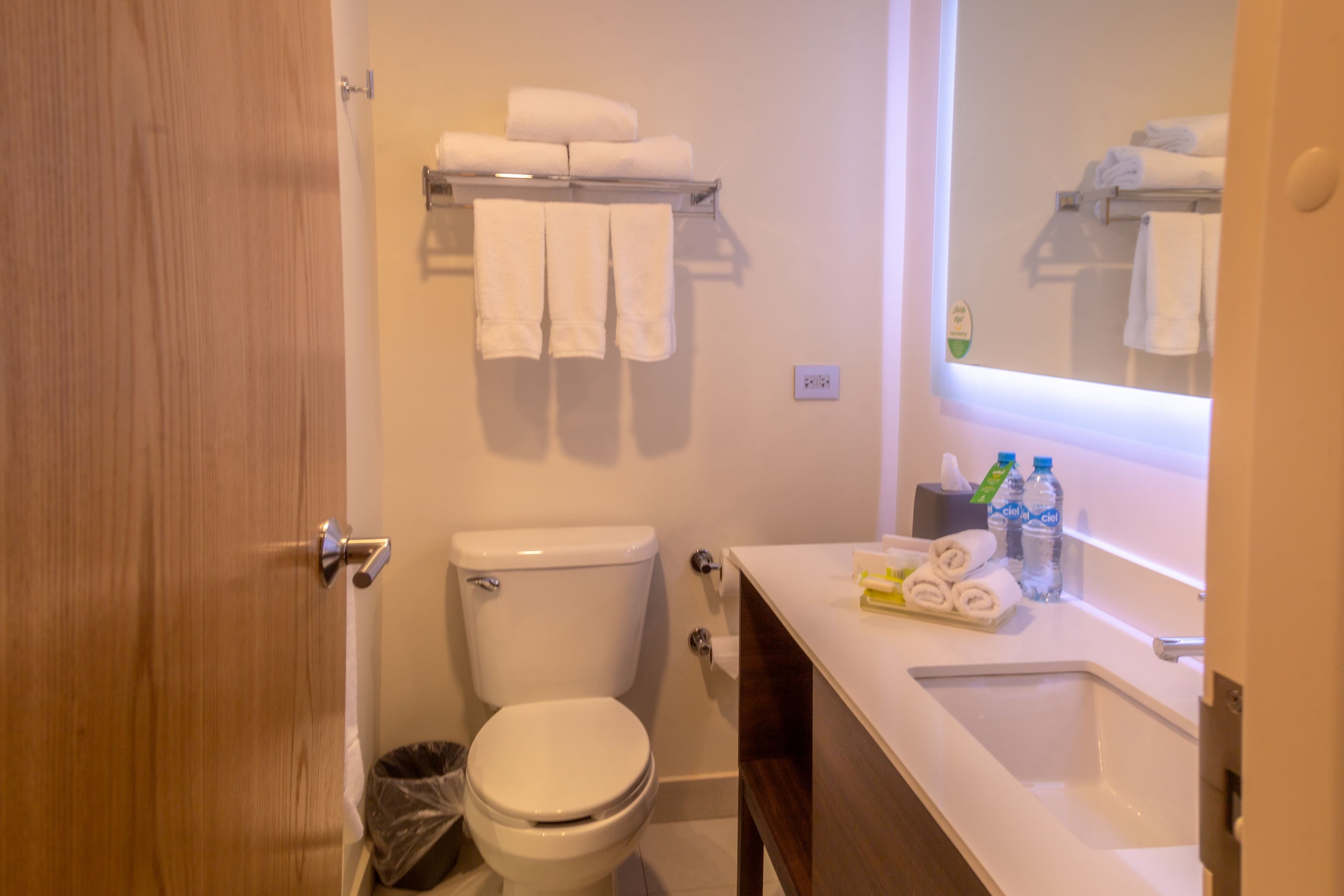 Holiday Inn Tlaxcala - Image 2