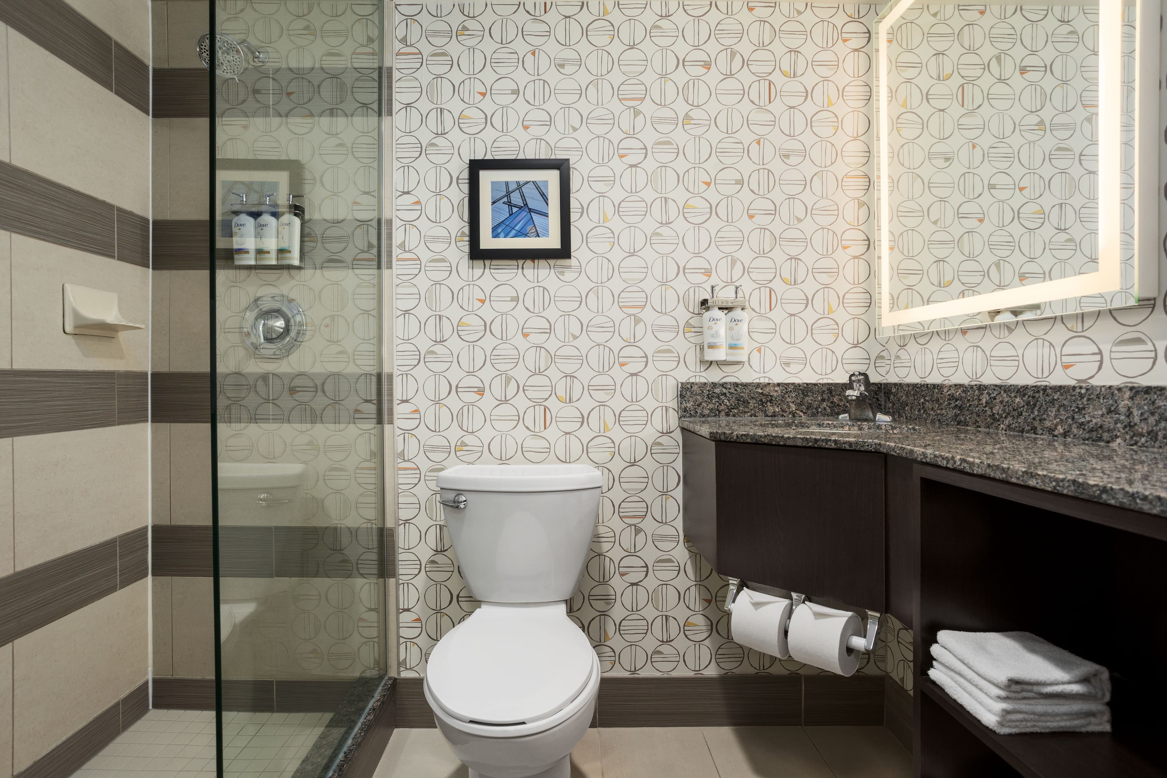 Holiday Inn Toronto Downtown Centre — 4