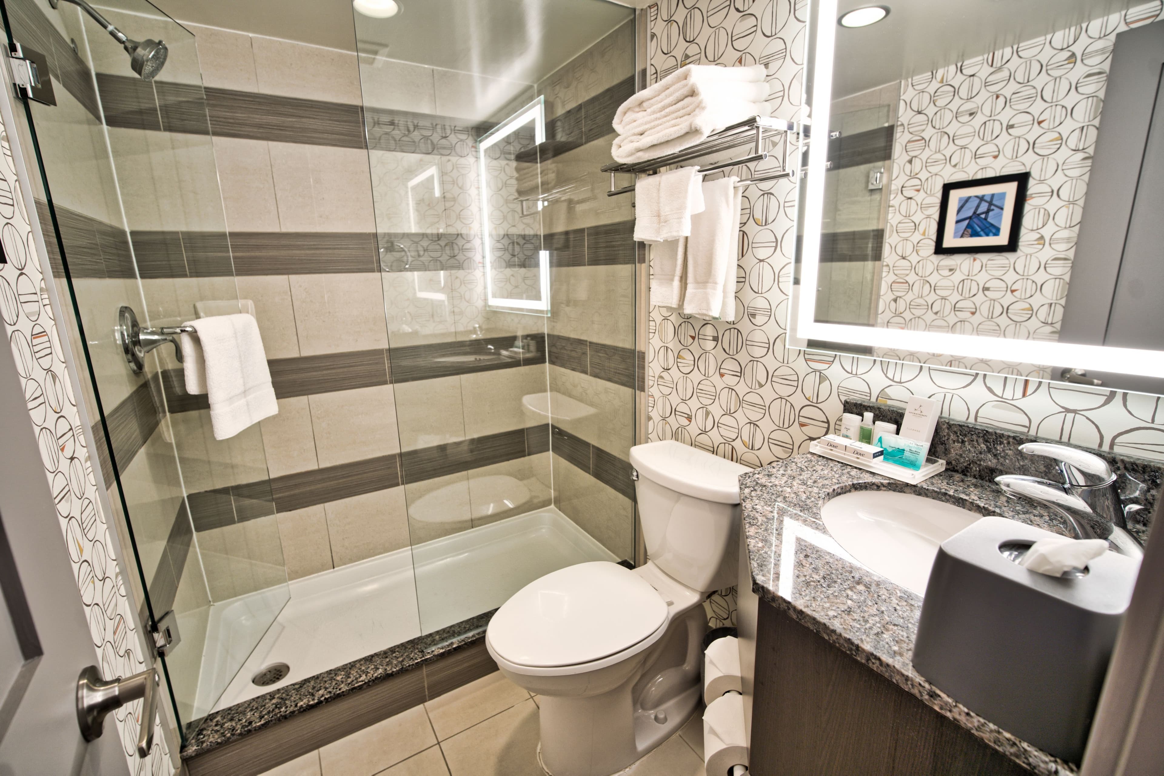 Holiday Inn Toronto Downtown Centre — 3