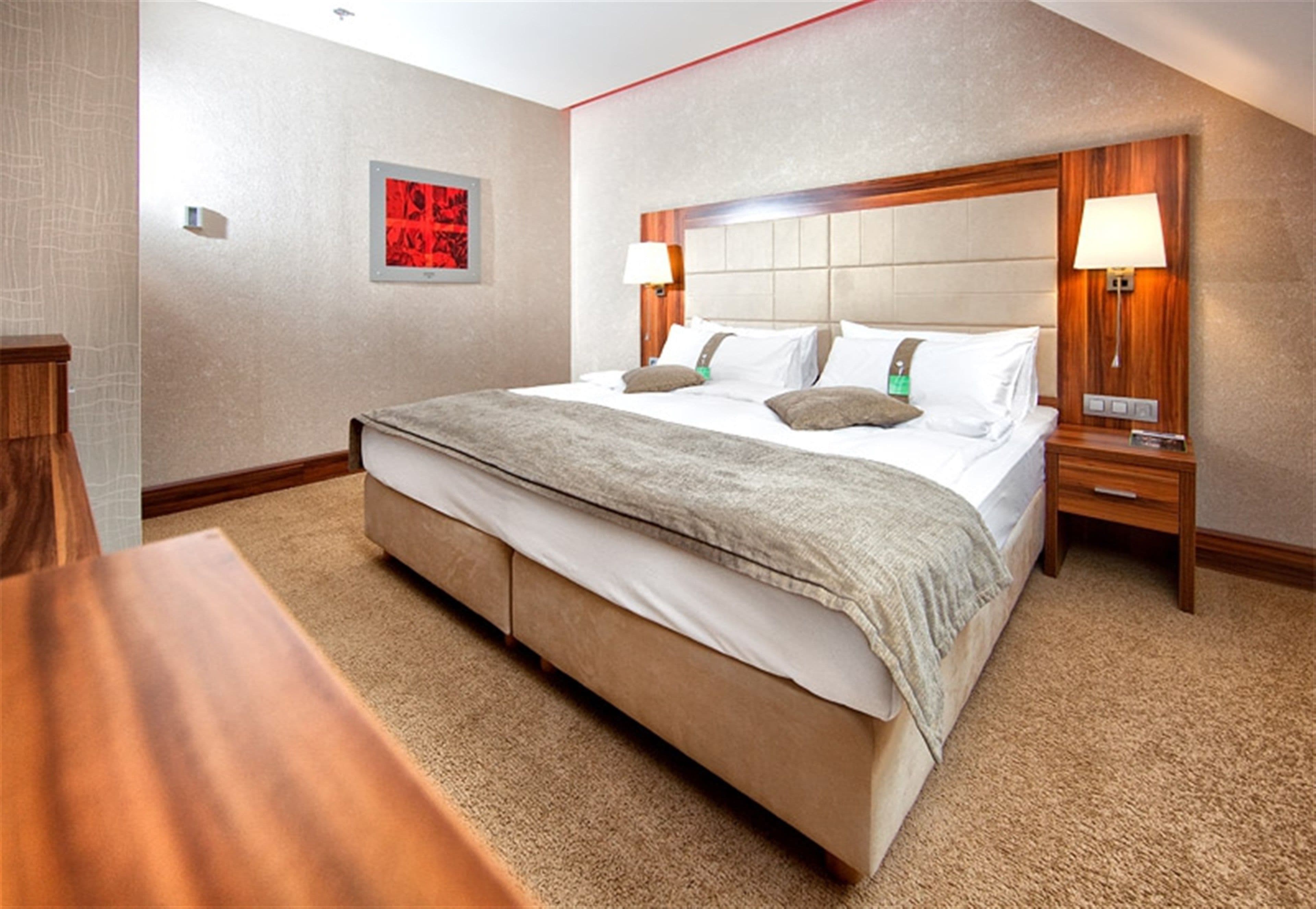 Holiday Inn Trnava - Image 4